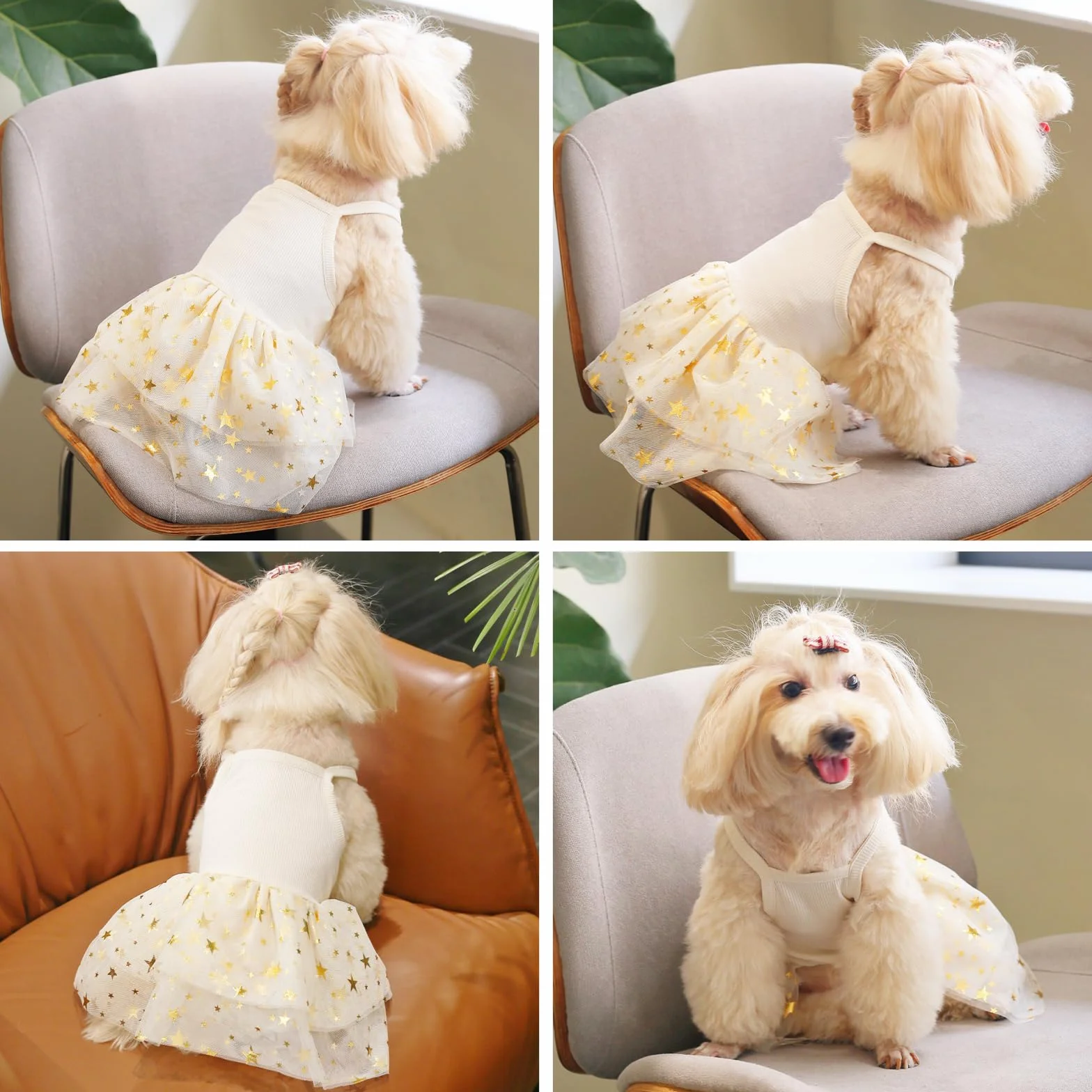 Vestito a tutù per cani con gonna in tulle e pizzo, glitter a stella, Giallo M