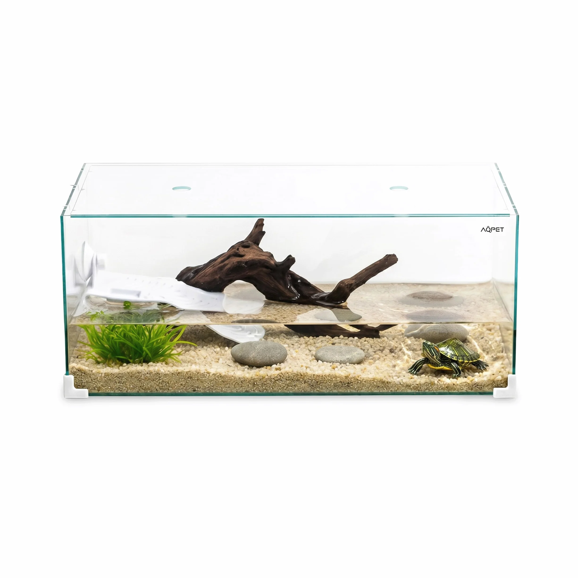 AQPET Tartarughiera in Vetro con Coperchio E Isola per Tartarughe d'Acqua Tortuga, 60 60x30x25 cm 45 Litri