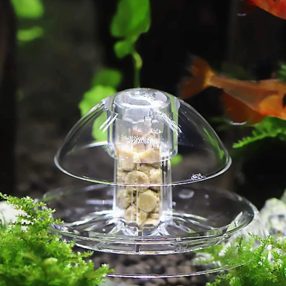 2 Pezzi Trappola per Lumache per Acquario Acquario Plastica Trasparente Trappola per Lumache Acquario Piante Planarian Sanguisuga Catcher 6 Cm