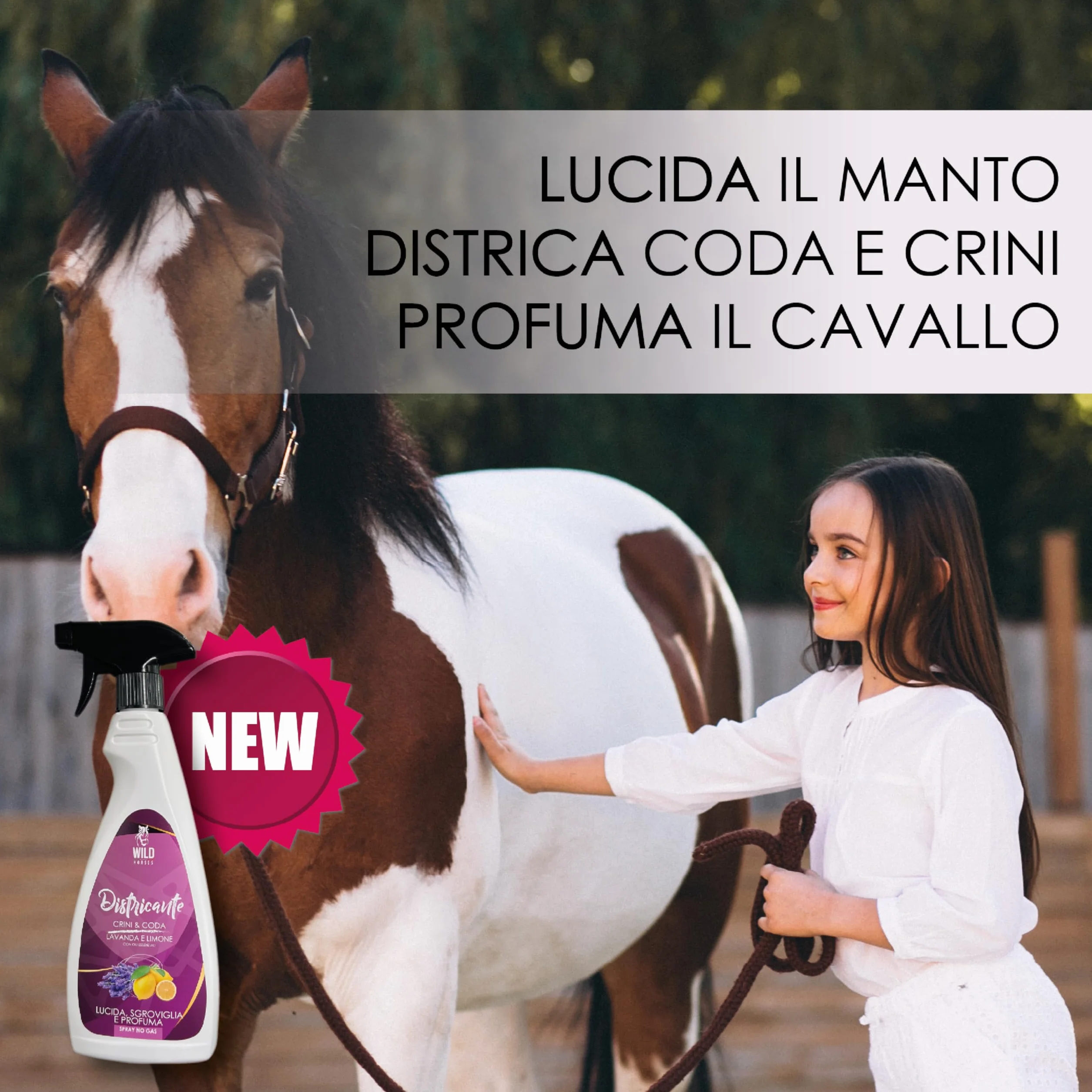 Wild Horses | Districante Crini & Coda Lavanda e Limone - Lucida, Sgroviglia e Profuma, Senza Risciacquo, 500 ml, Made in Italy