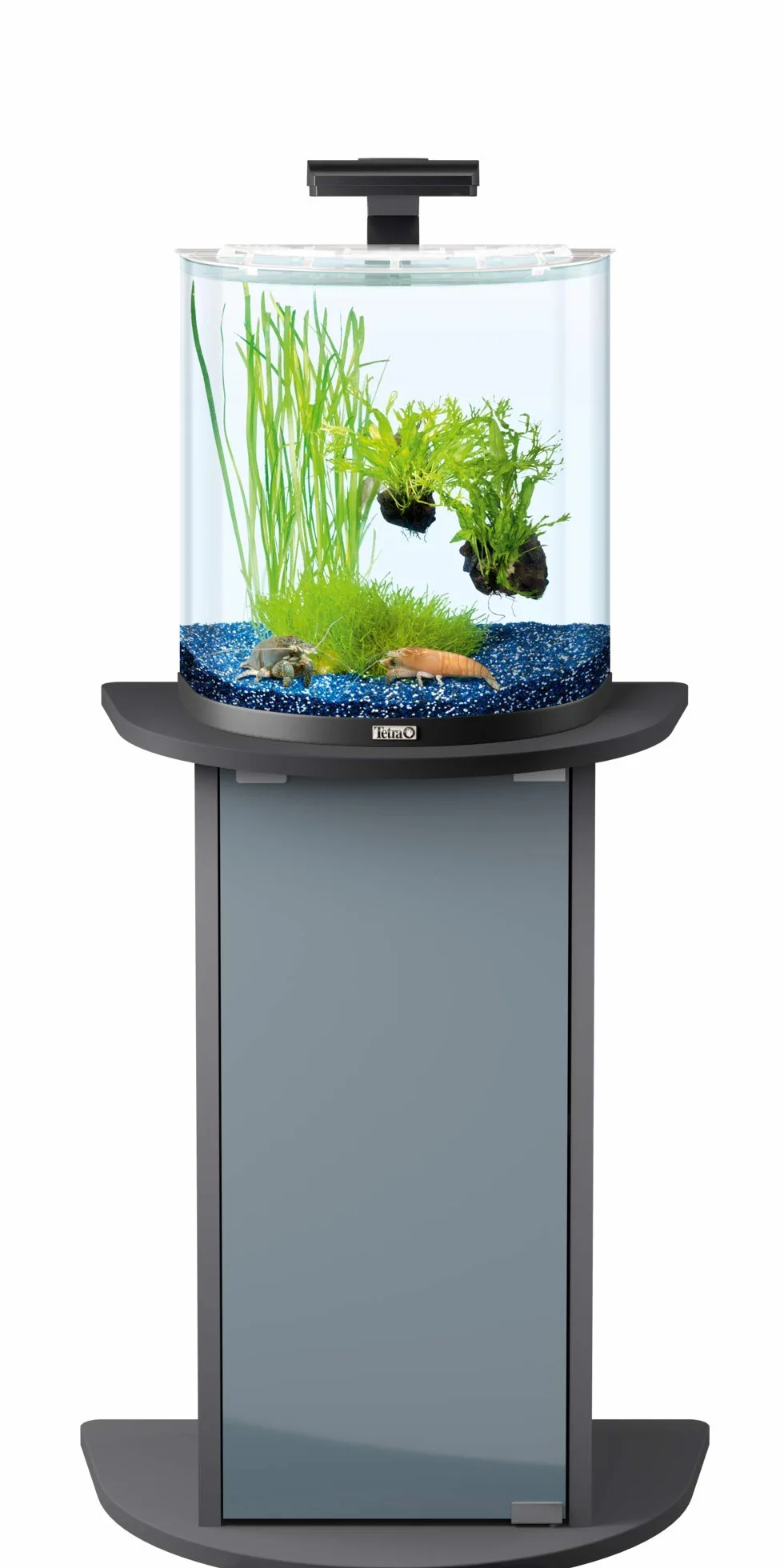 Tetra Explorer Line - Set completo per acquario, 30 l, design acquario con parabrezza curvo, illuminazione a LED, tecnica, fodera e prodotti per la cura, colore: Nero