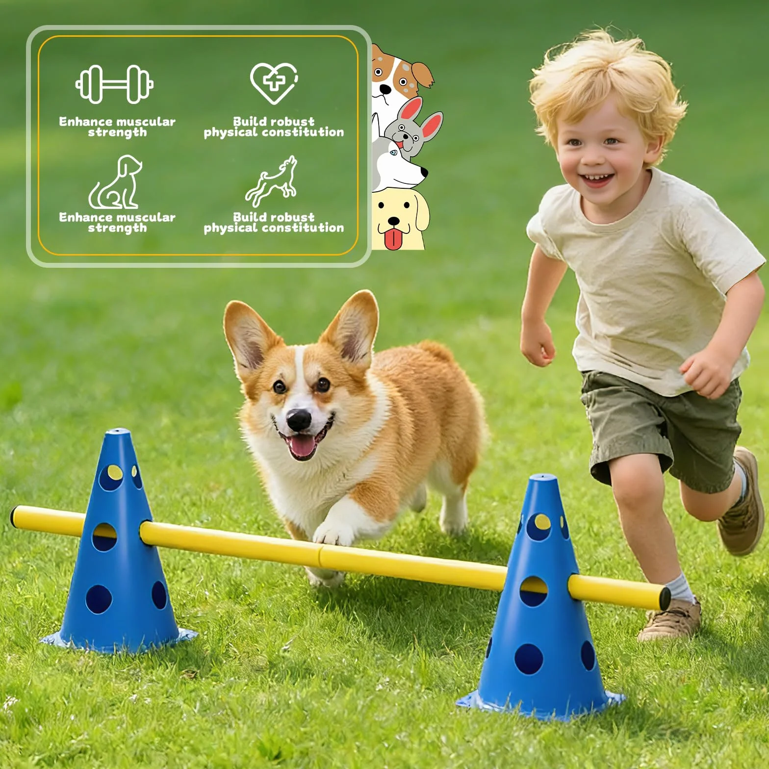Set di 6 agility per cani, cavaletti, cani, hobby, ostacoli, ostacoli, hobby, horsing