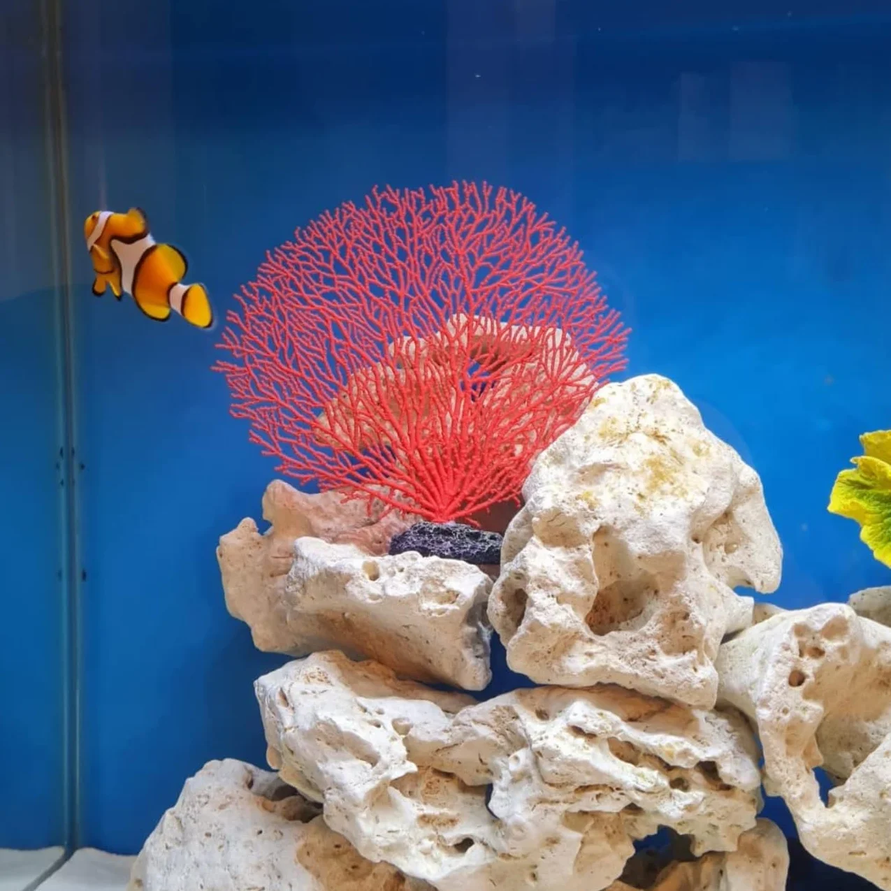 Tissting Corallo Artificiale per Acquario, Decorazione Realistica in PVC con Piante Finte per Pesci