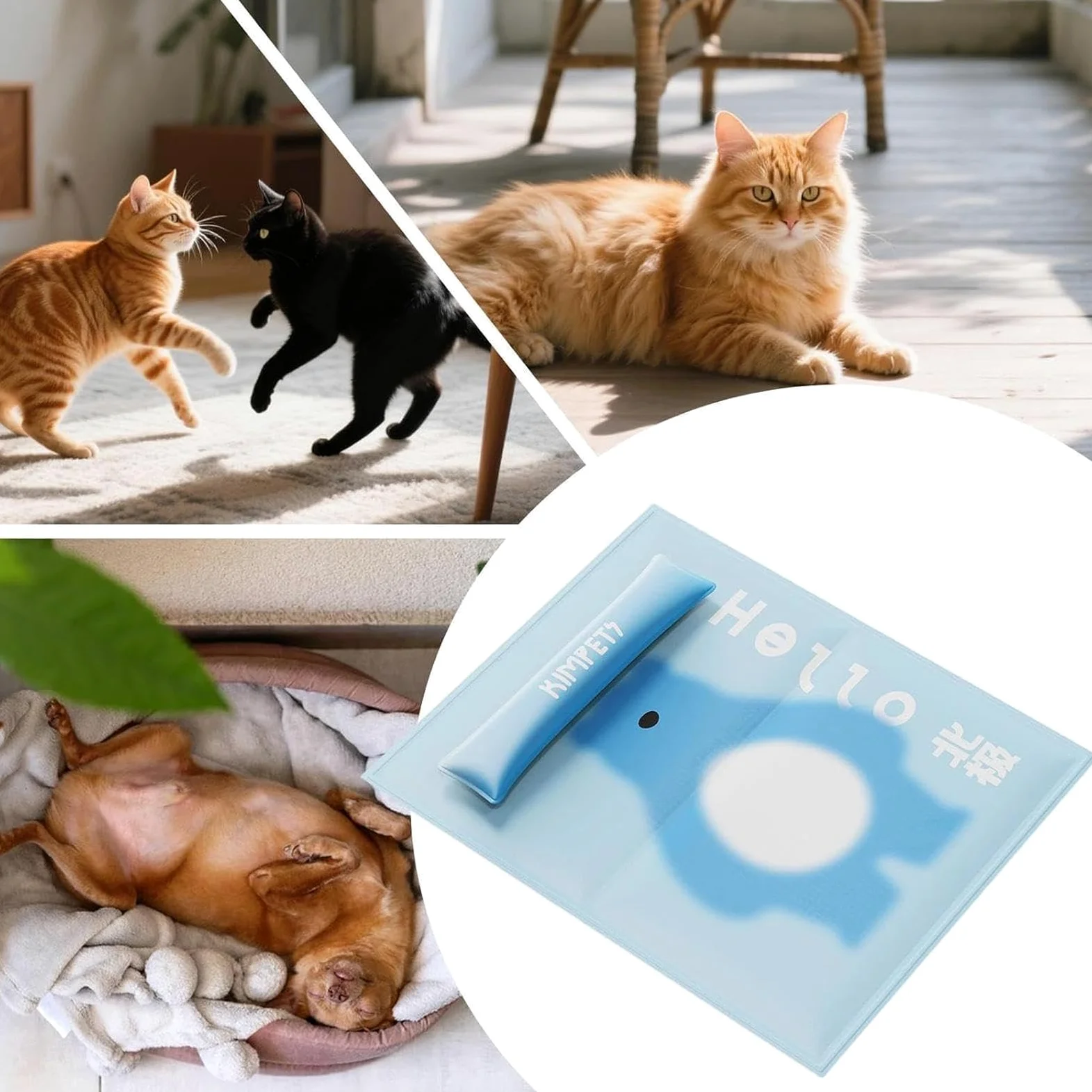 Generico Tappetino rinfrescante canino Traspirante Interno Esterno | Tappetino Rinfrescante per Gatti Animali Domestici per cani di piccola media grande e gatti trasportino campeggio spiaggia