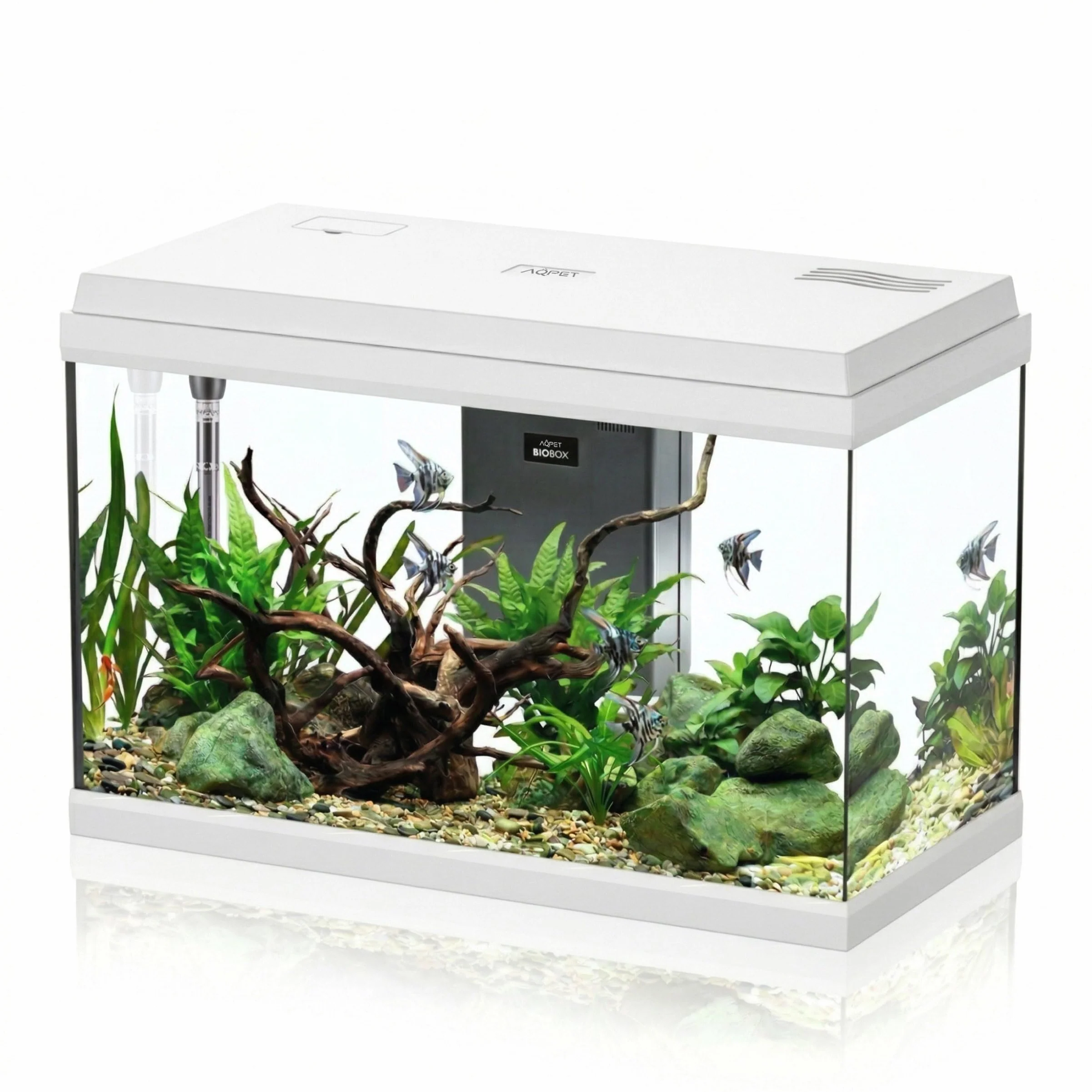 AQPET Acquario in Vetro per Pesci Tropicali Completo di Accessori Filtro Luce Simply, 60 59x30x39 cm 60 Litri, Bianco