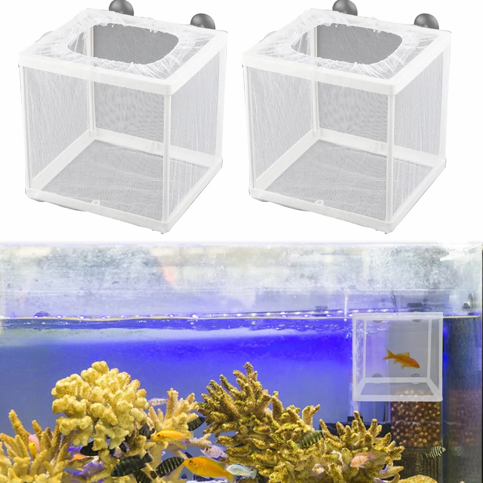 Scatola di Allevamento di Pesci, 2pcs Sala Parto Acquario, nursery acquario, scatola in rete per l'allevamento di pesci, scatola incubatrice di Pesce Acquario con ventose, rete di isolamento14x15x16cm