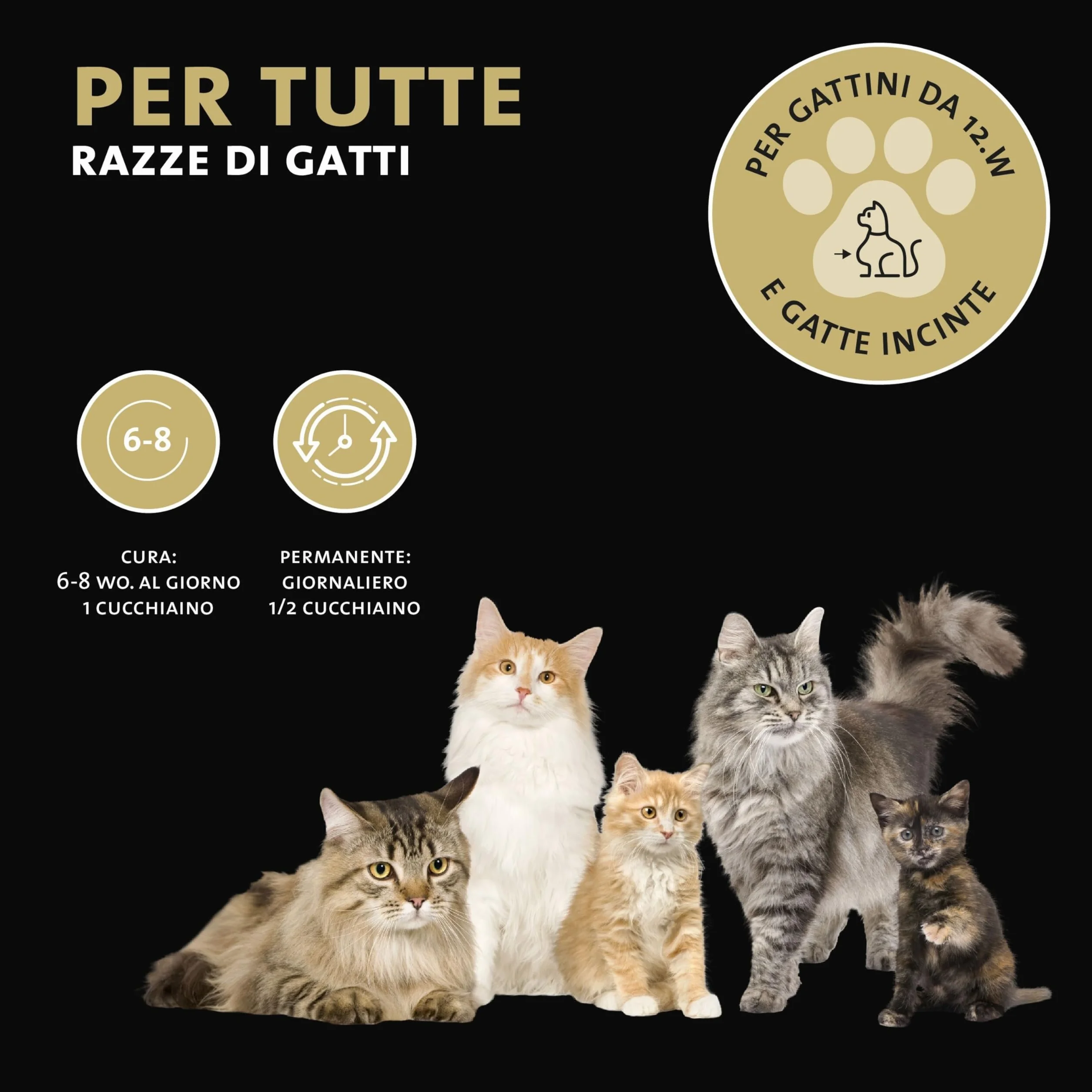 Peticare Polvere Flora Intestinale Gatti – Supporto Naturale per la Digestione – Con Probiotici e Prebiotici – Integratore Gastrointestinale