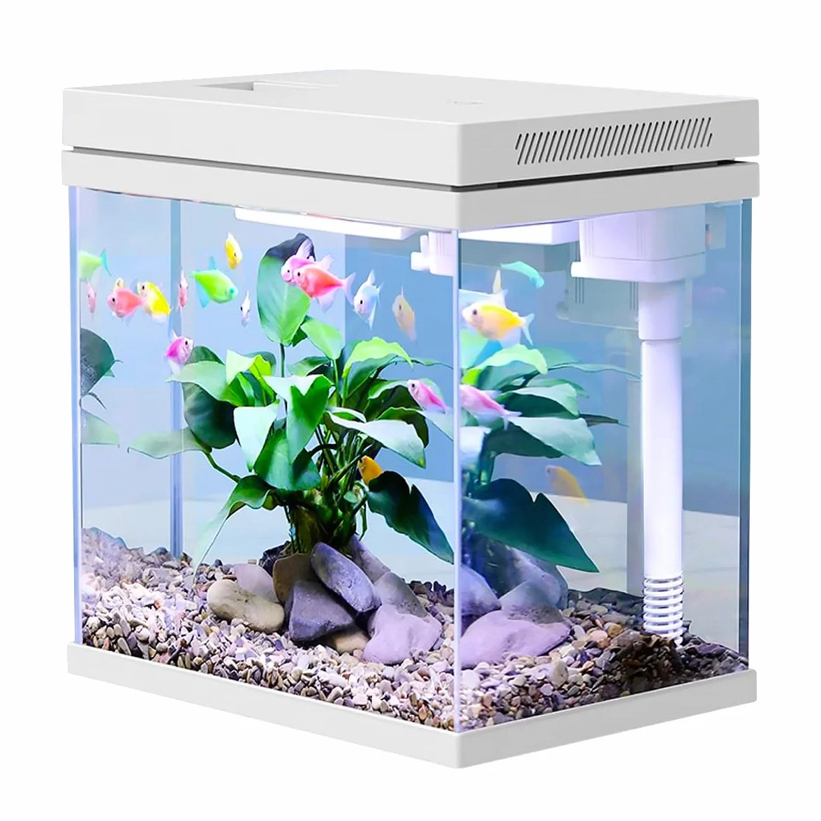 Acquario in vetro nano da 10 l per pesci - Con sistema di luce e filtro - Modello impermeabile e senza detersivo (10 l)