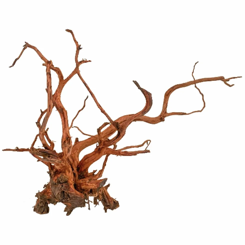 Amtra Legno Red Spider King - Taglia S 25-45 cm, Decorazione in Legno Naturale per Acquari, Tronco naturale ornamentale, Accessorio arredo decorativo per Terrari