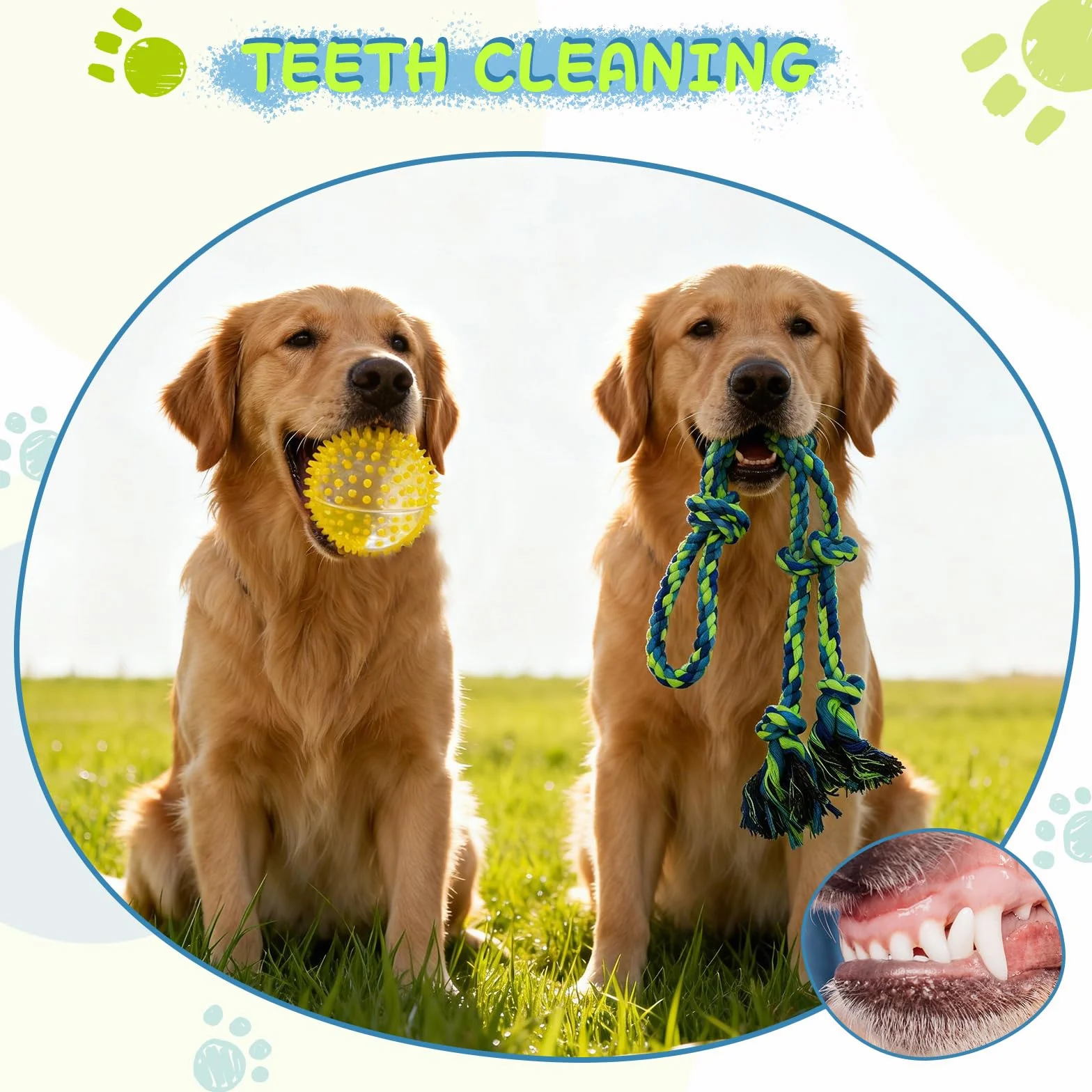 Waldseemüller Set di 4 giocattoli per cani, giochi per cani, giochi interattivi, pallina interattiva, pallina per cani di grossa taglia con una confezione regalo