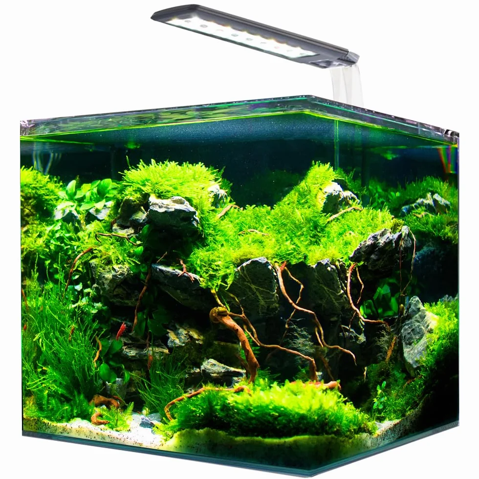 AMTRA NANOTANK System 36 - Acquario in Vetro Completo di Luce LED, Filtro e Tappetino / 40x30x30cm / 36 Litri