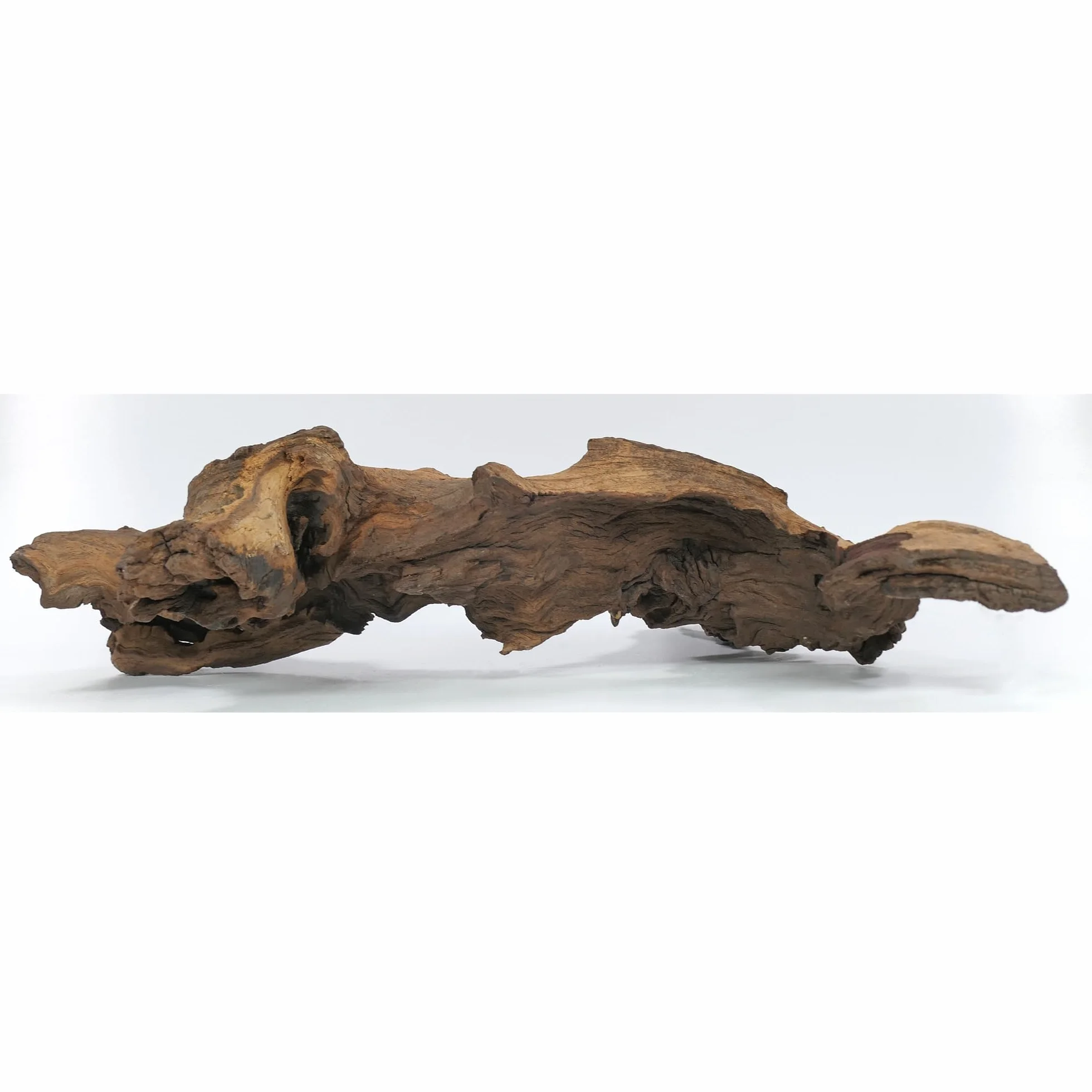 Mopani radice XL // radice in vero legno decorazione per acquario, gamberetti, pesci d'acquario Hard Scape 40 cm - 50 cm (Mangrove Savanna) Aquascaping