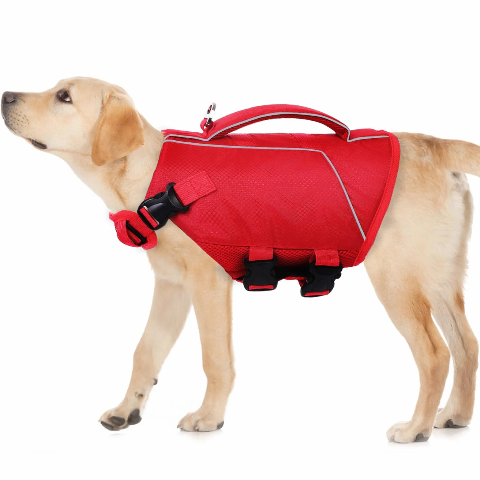 ASENKU Giubbotto di salvataggio per cani gilet sicurezza animali domestici nuoto canottaggio squalo costume bagno taglia piccola media