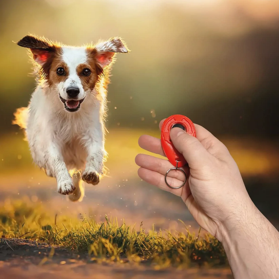 Clicker per Cani con Portachiavi, Addestramento e Formazione, Dog Training - Cane, Gatto, Cavallo – Impugnatura Facile, Addestra ad un Comportamento Corretto (ROSSO)