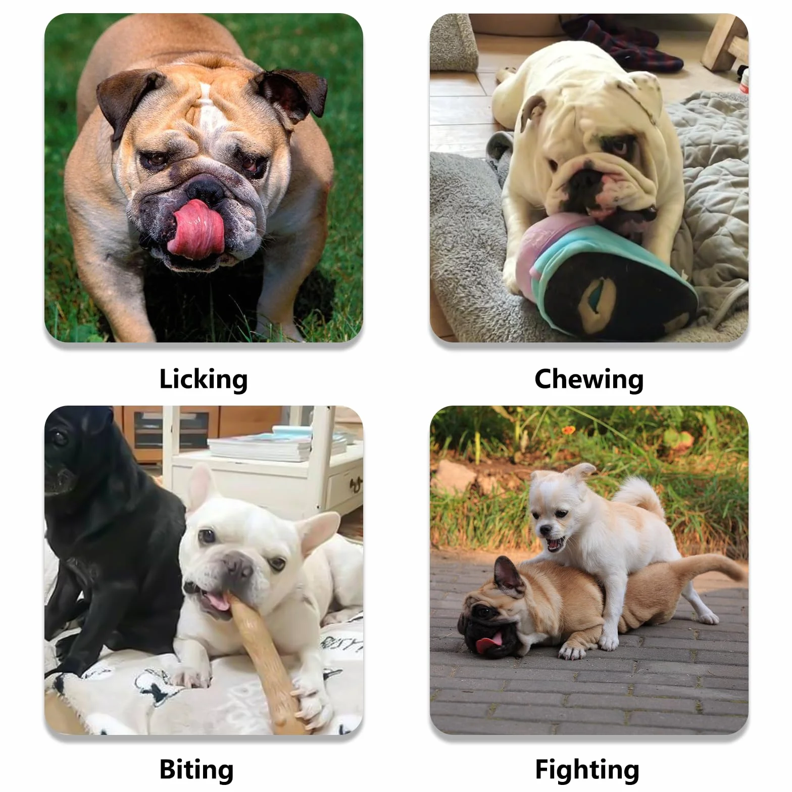 Museruola per Bulldog Francese, non copre la fronte del cane per cani dal muso corto, rete regolabile per la respirazione, anti mordere, abbaiare(L,Nero)