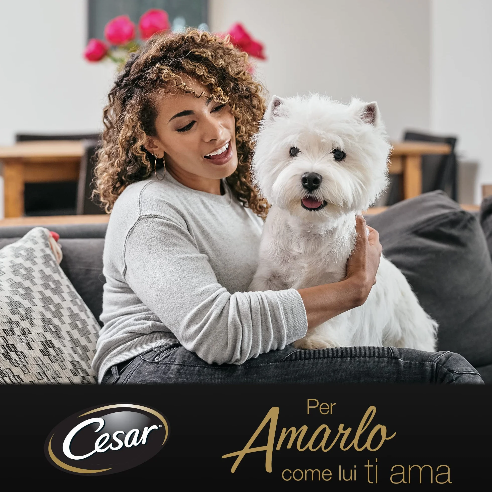 Cesar Selezione dell'Orto Cibo Umido per Cane, con Agnello succoso, Tacchino e Fagioli in Gelatina 150 g - 14 Vaschette