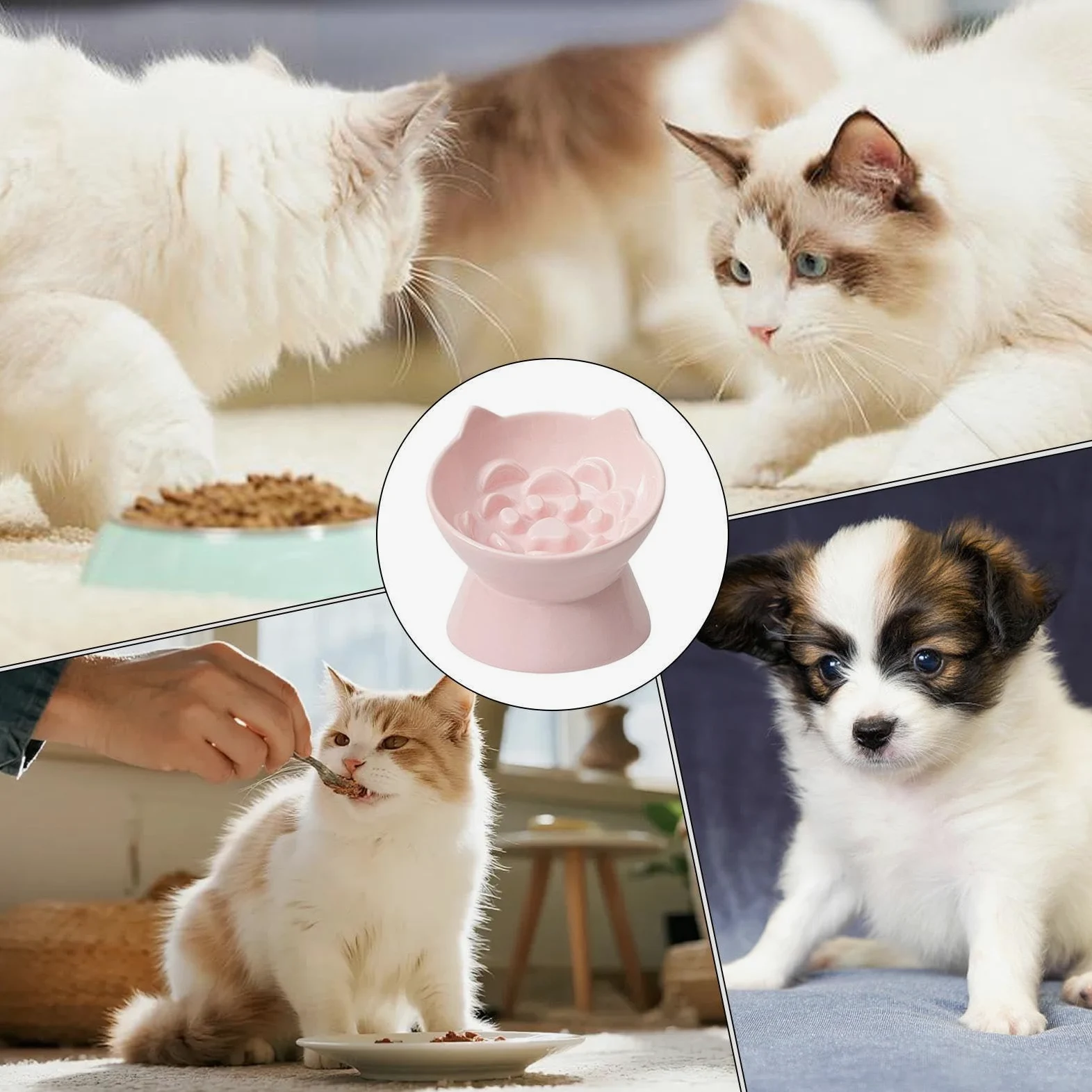 Sopraelevata Per Gatti Mangiatoia Lenta Anti-Ingordigia in Ceramica | Alta Per Il Cibo Dei Gatti Adatto A Patio Appartamento Soggiorno Zona Pranzo Cucina Casa Negozio Di Animali