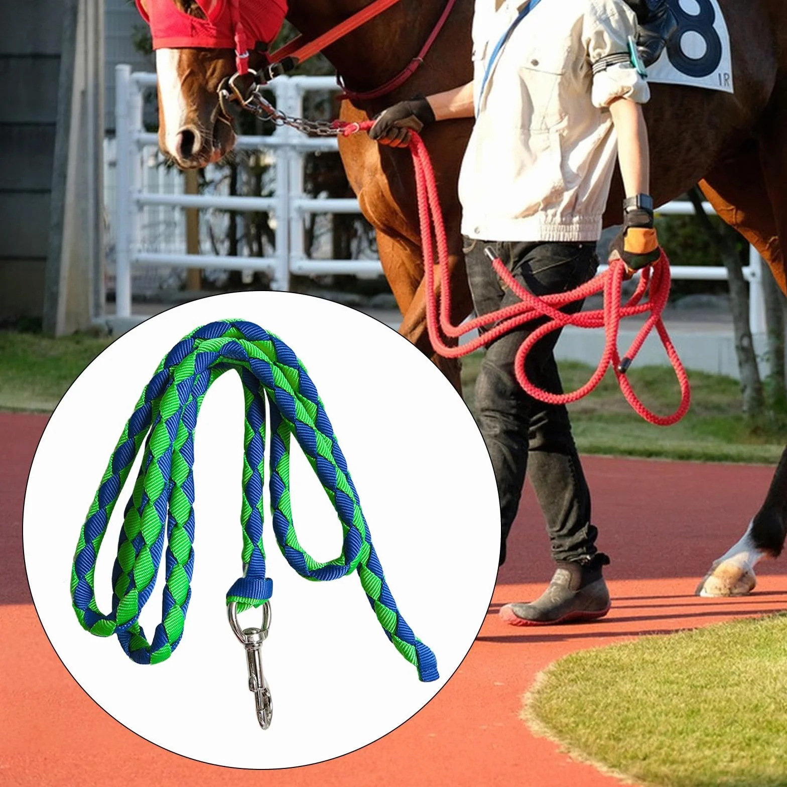 Corda per Cavallo con Attacco a Clip Sicuro, 2.5 m Verde e Blu