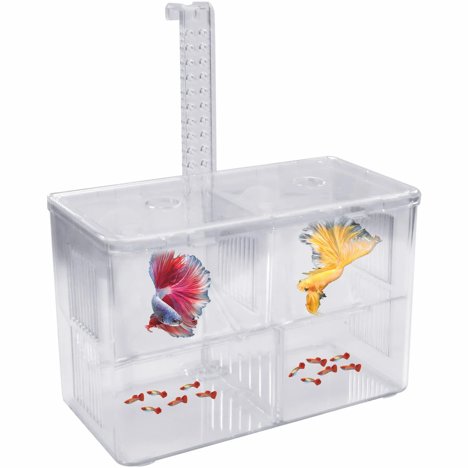Sala Parto Acquario, Scatola di Allevamento di Pesci Doppio Strato, Sale Parto per Pesci di Grande Capacità, Sala Parto Nursery Trasparente, 4 in 1 Allevatore la Trappola Box con Gancio e 2 Ventosa