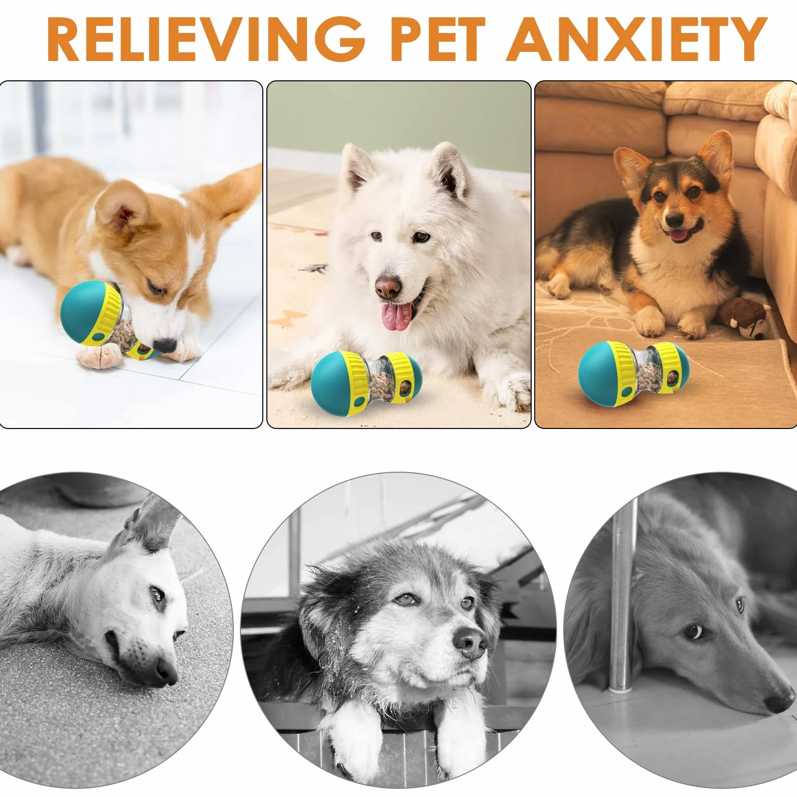 MeoZynxadril Giocattolo Interattivo per Cani, Intrattenimento e Alimentazione Lenta, Intelligenza, per Razze Piccole, Medie e Grandi