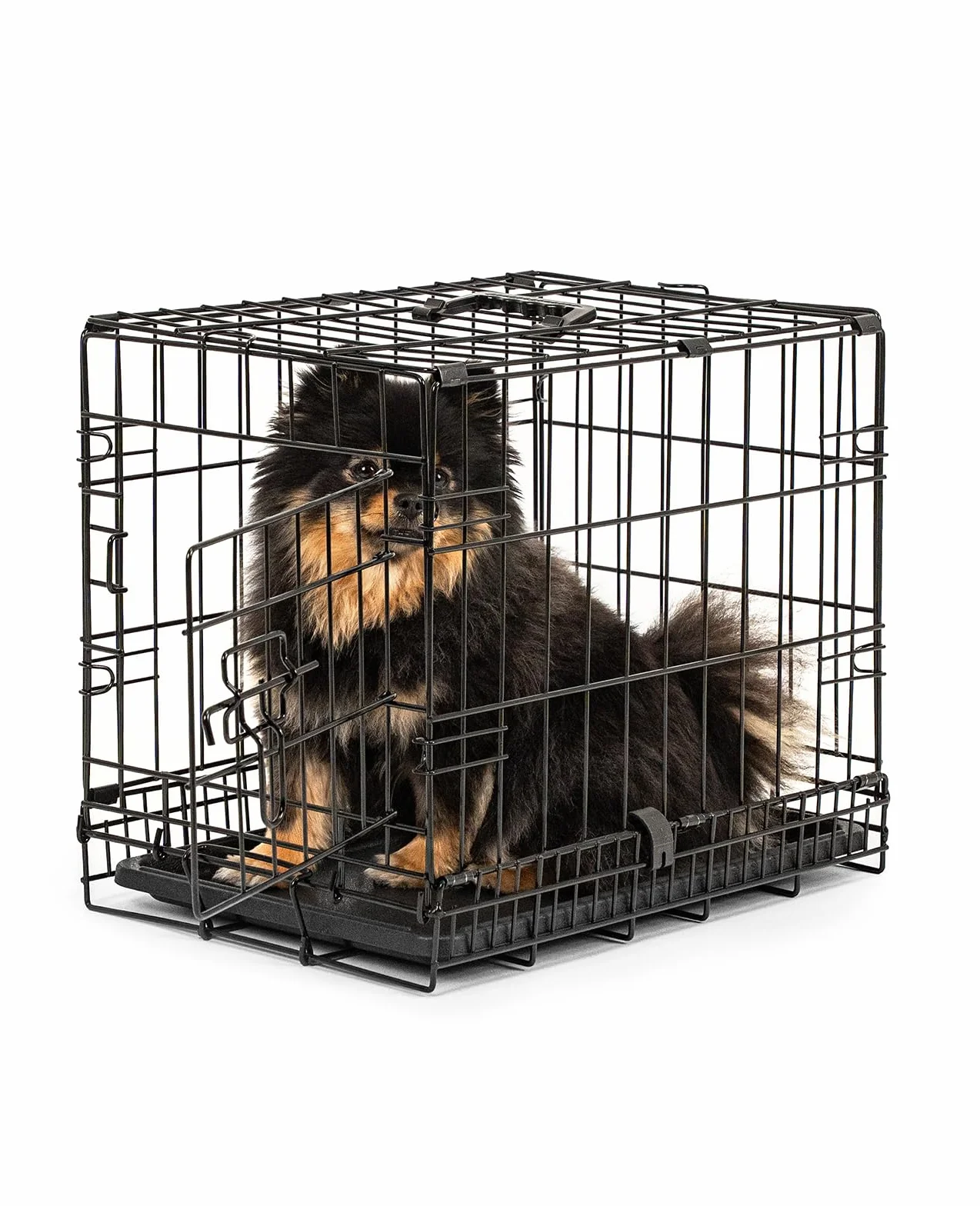lionto Gabbia di Transporto pieghevole per Cuccioli per Cani, (S) 45x31x36 cm Nero