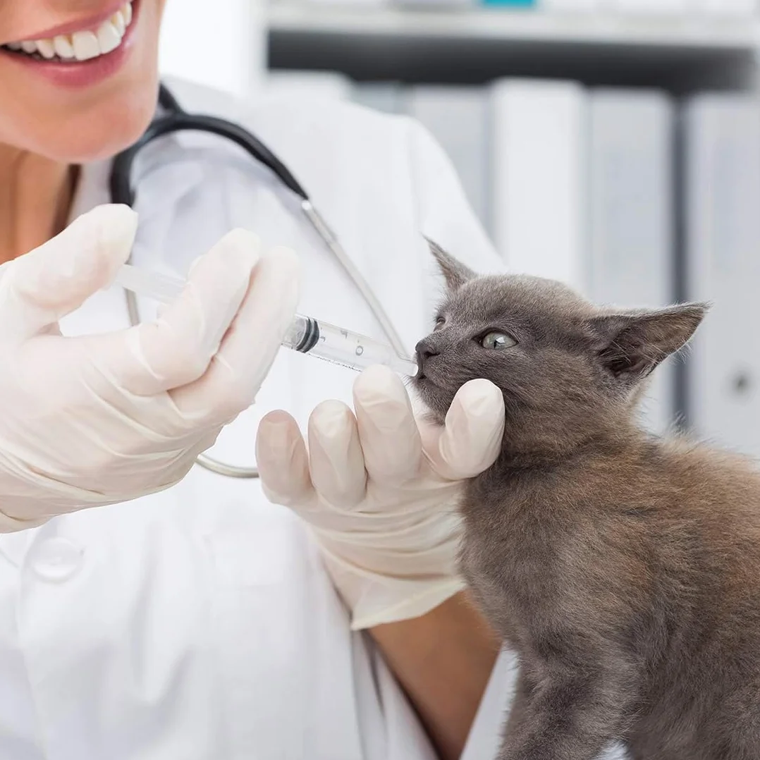 10 Pz Alimentatore Pappagalli, Inclusa 1 Siringa da 10 ml, Uccelli Alimentazione Tubi Veloce Alimentazione Tubo per Bambino Pet Uccelli