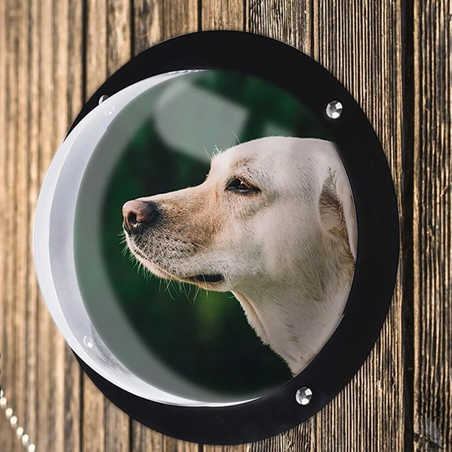 Finestra per recinto per cani, in acrilico, a cupola, trasparente, facile da installare, rotonda, per bambini e animali domestici, cuccia per cani, 33 x 33 x 16 cm