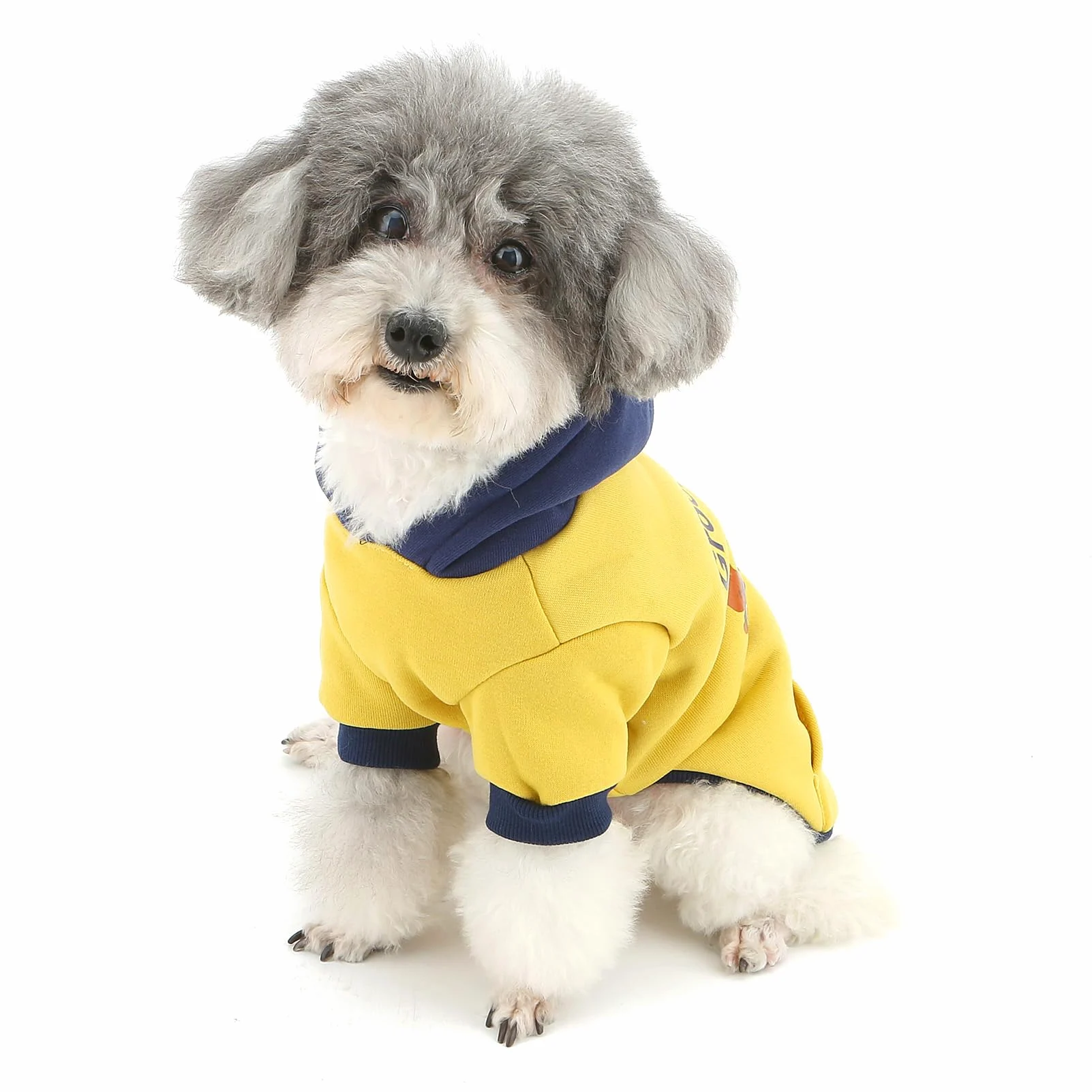 XHYRHTS Felpa con cappuccio in pile per cani con stampa simpatico cartone animato per razze Xsmall piccole, calda felpa pullover colorblock con anello a D, morbido abito invernale per cuccioli gattini