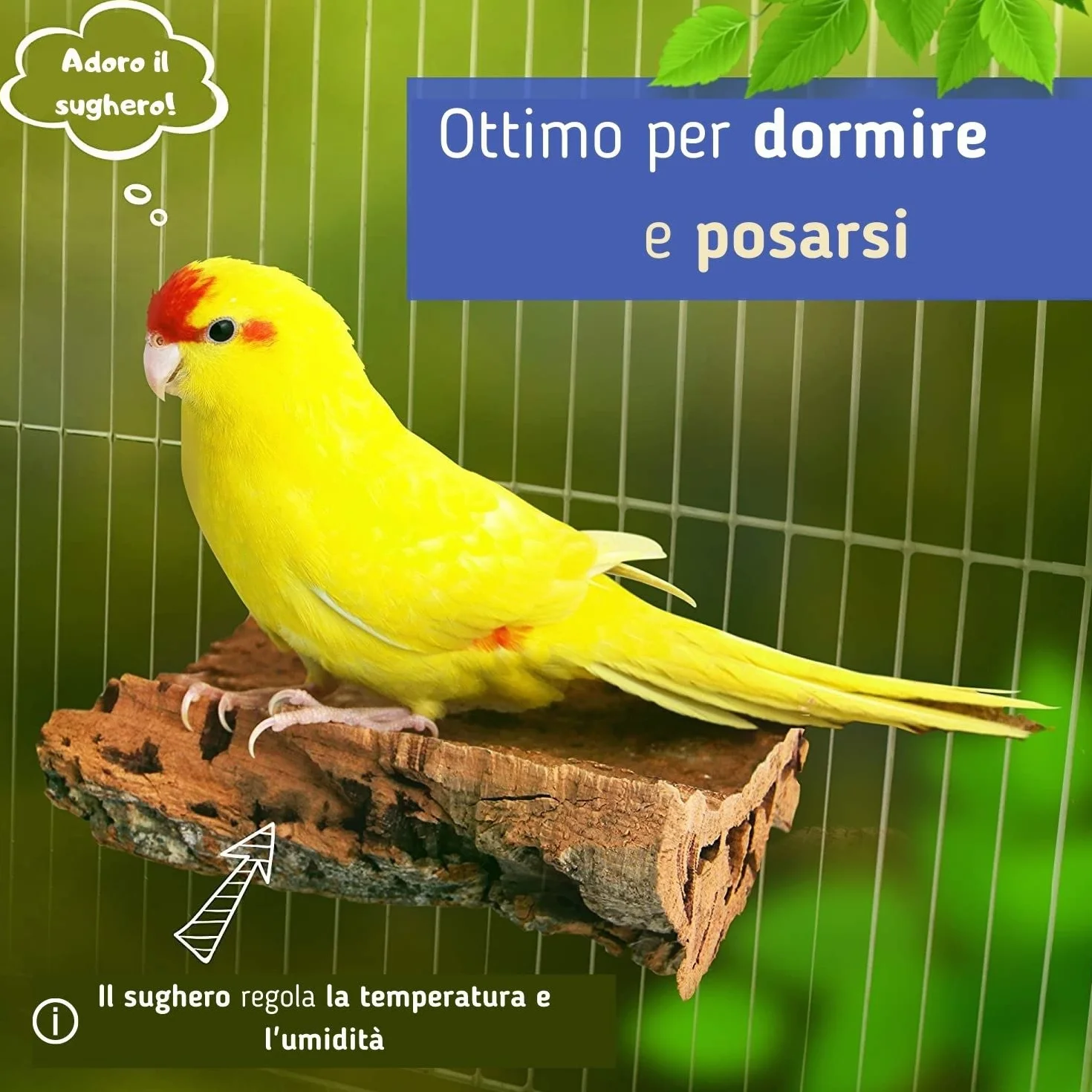 Posatoio piccolo per uccelli – Accessori sani per pappagallini, fatti a mano in sughero