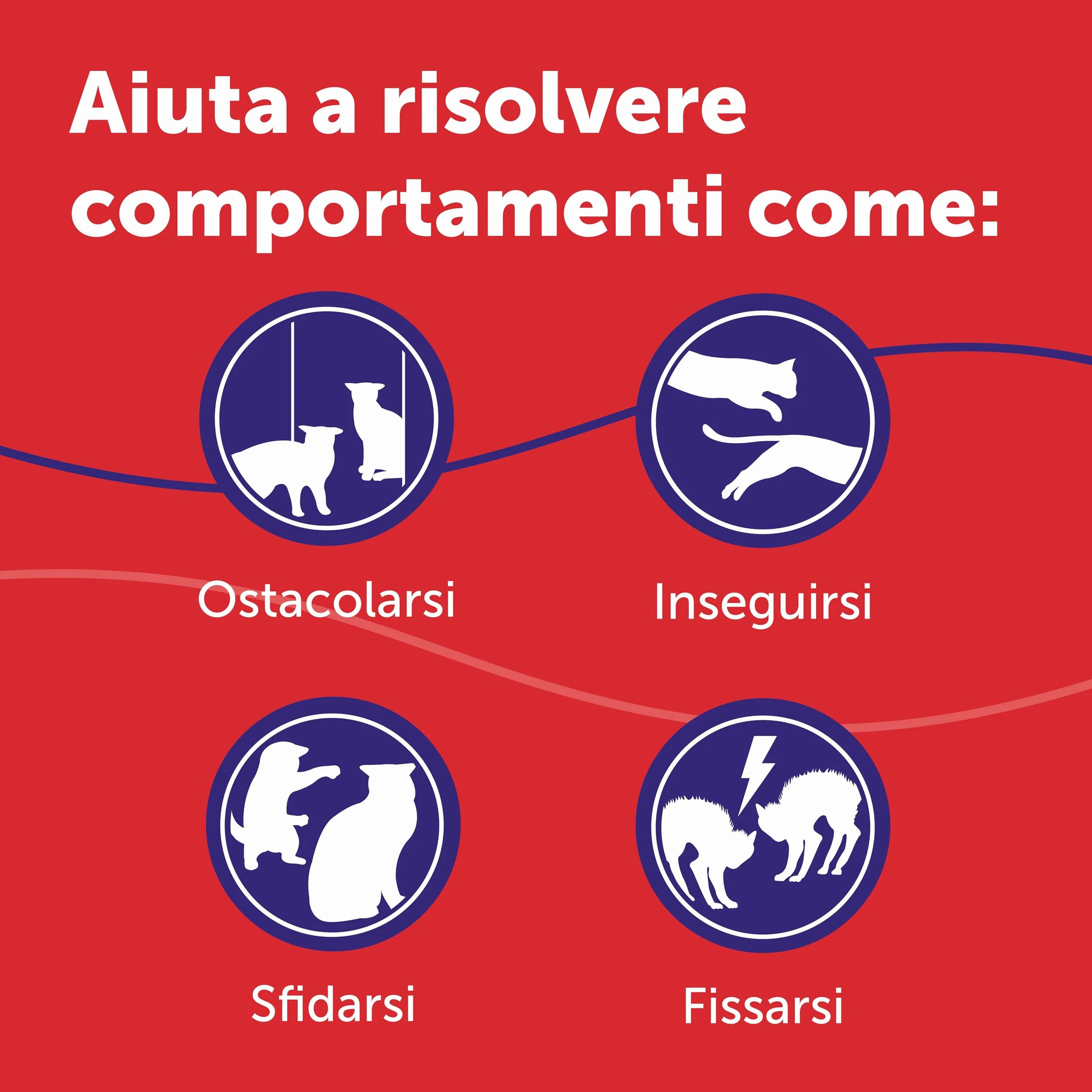 FELIWAY Friends 3x30 Giorni Ricariche Calmanti per Gatti per Diffusore di Feromoni, 48 ml – Aiuta a creare armonia e a ridurre i conflitti nelle case con più gatti. Raccomandato dai veterinari