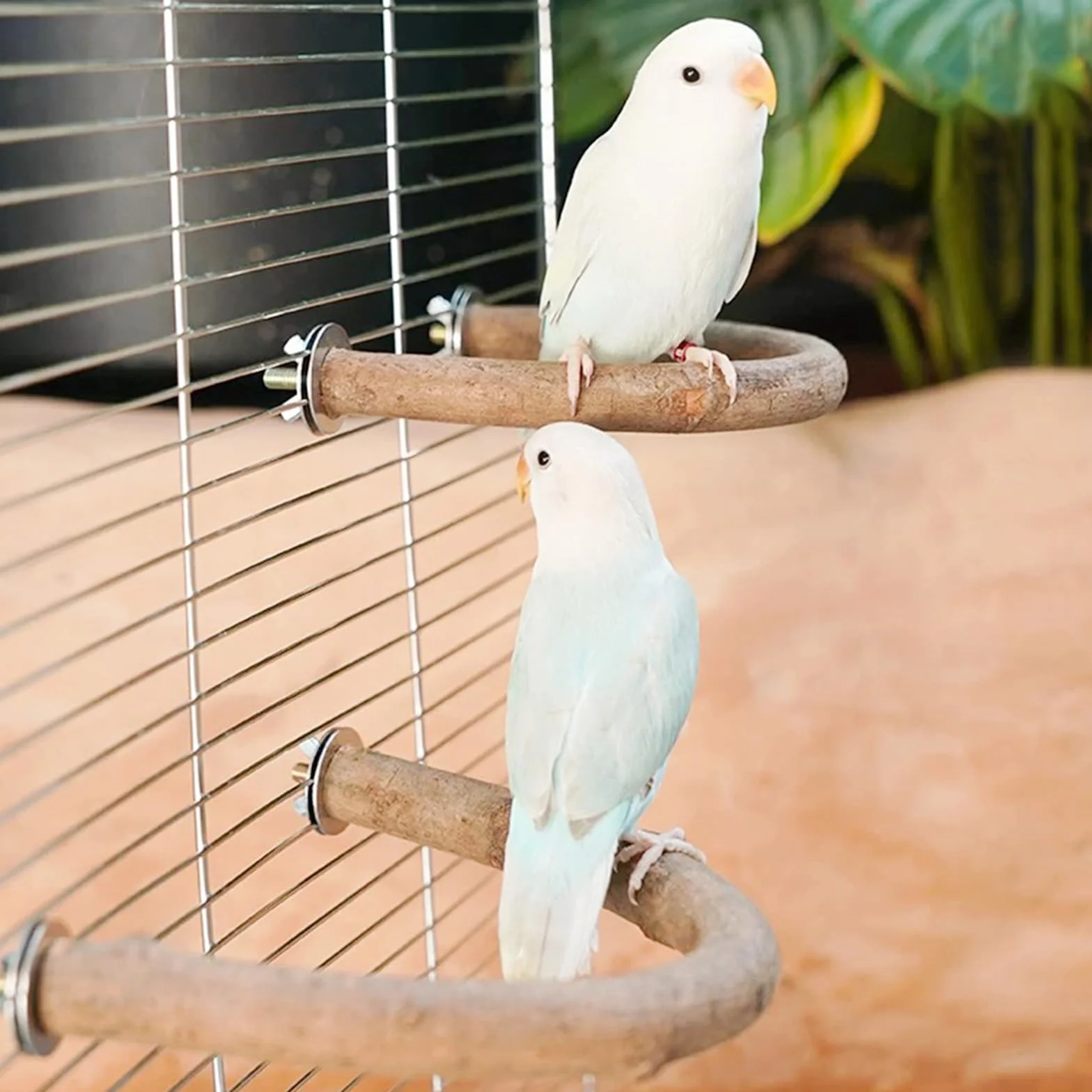 8 Pz Posatoi in Legno di Uccelli, U Forma Posatoi per Uccelli, Posatoi in Legno per Uccelli Legno Naturale per Cacatua, Cocorite