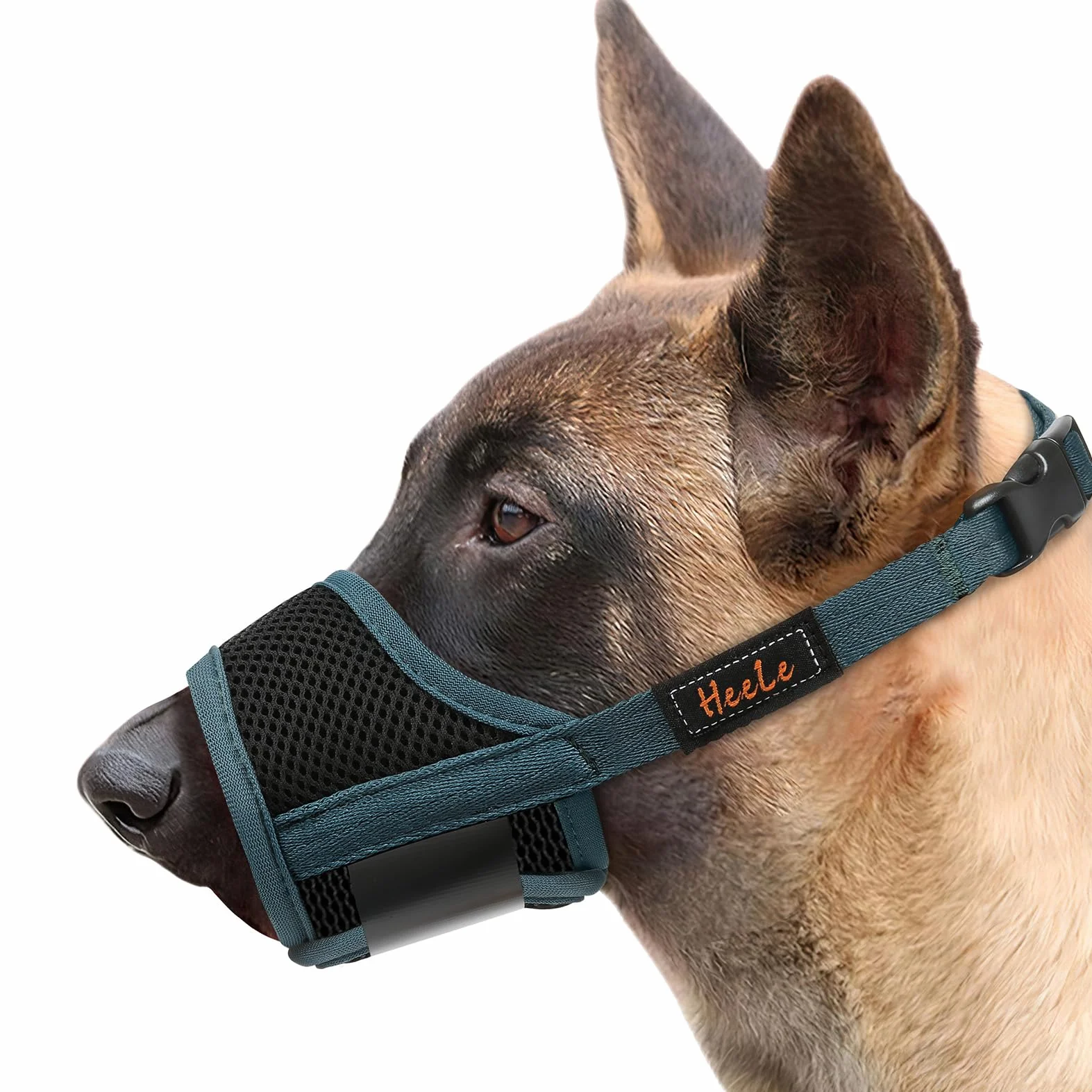 HEELE Museruola Cane Antiabbaio in Morbida Rete Traspirante con Anello Regolabile per Cani di Taglia Grande, Antimorso Anti-Masticare Addestramento Animali Museruola, Verde, L