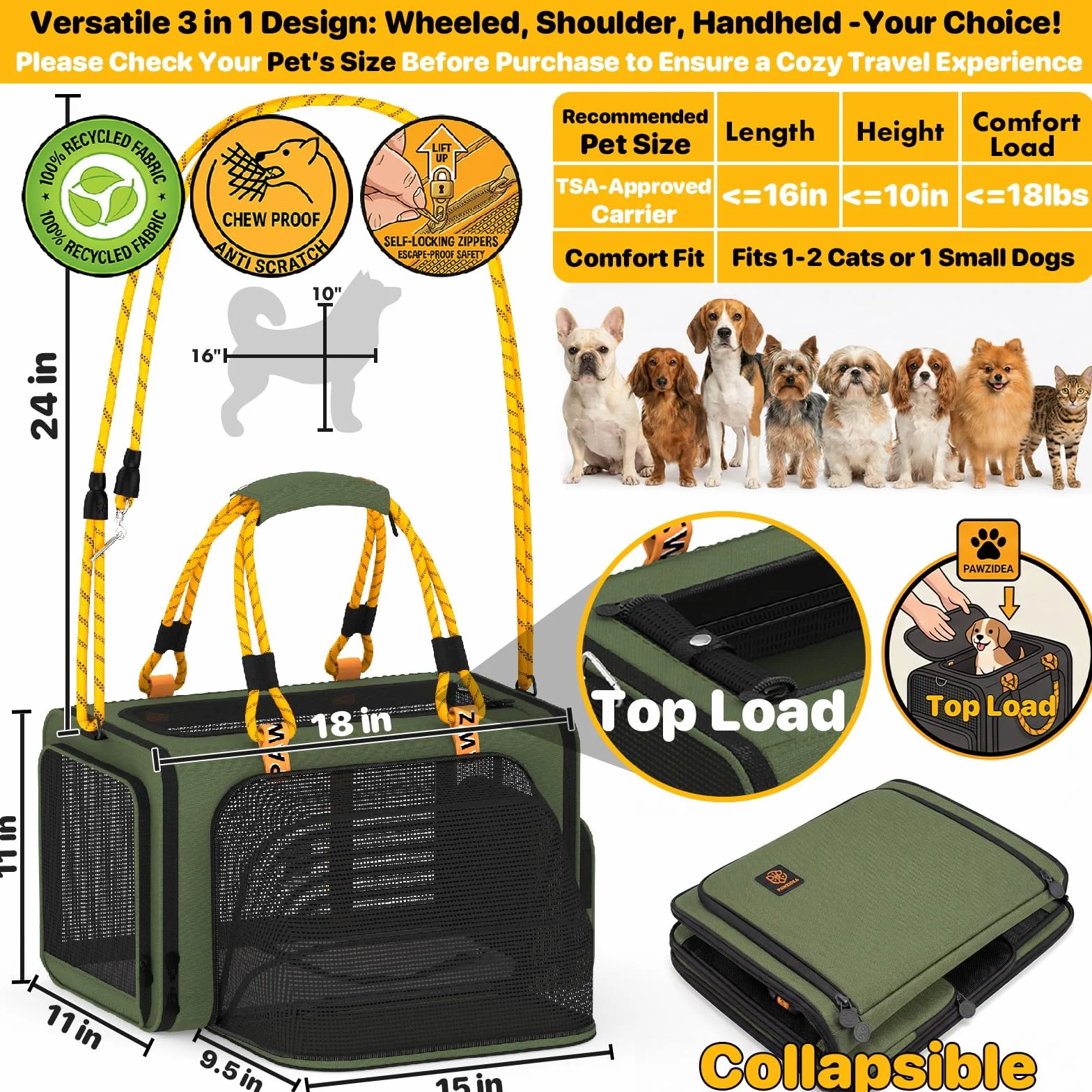 PAWZIDEA Trasportino per animali domestici con carta d'identità, 18 x 11 x 1, verde