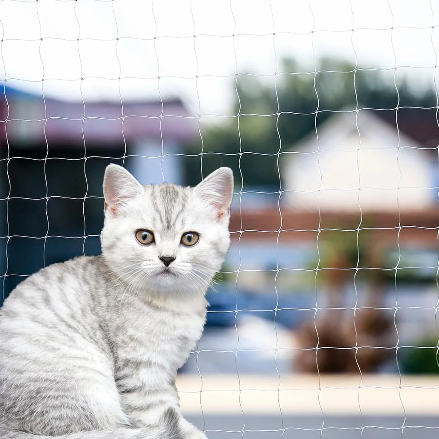 Rete per Gatti, 3x10m Rete Invisibile Protezione Balcone per Gatti, Resistente ai Morsi, Ai Raggi UV e alle Intemperie, per Balconi, Scale, Terrazzee e Finestre