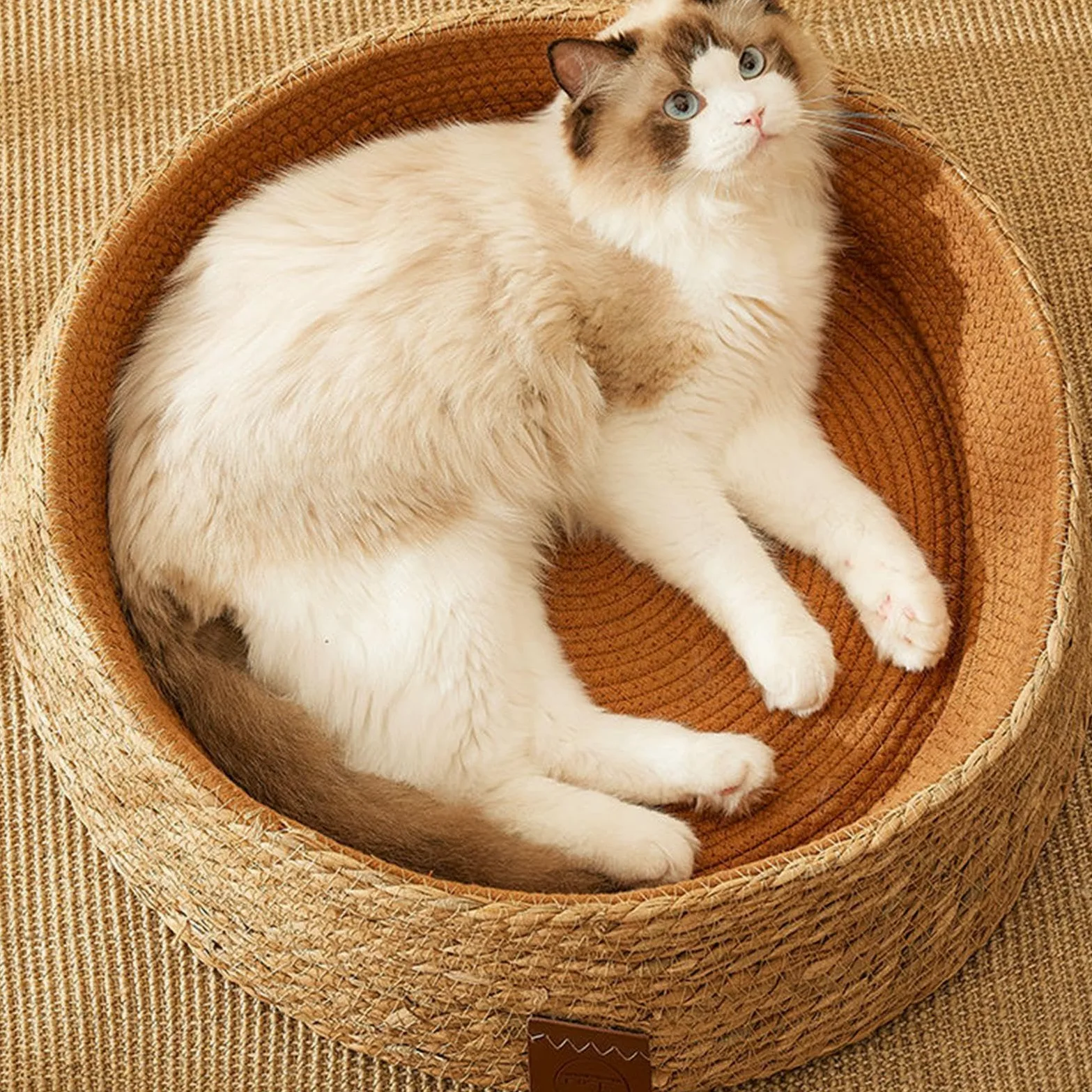 Cuccia per gatti – cuccia portatile per animali domestici | mobilia multifunzionale per gatti, in resistente, accogliente per , cuscino reversibile in peluche accogl