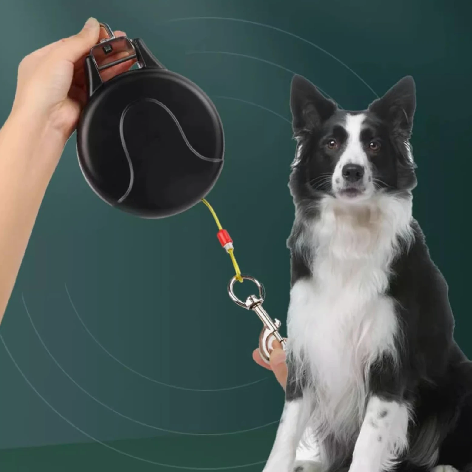 Guinzaglio Retrattile Per Cani Strumento Lungo Di Facile Conservazione | Estensibile da Parete per Cuccioli e Cani Adatto A Animali Passeggiata Corsa Escursionismo Campeggio Spiaggia Cortile Giard