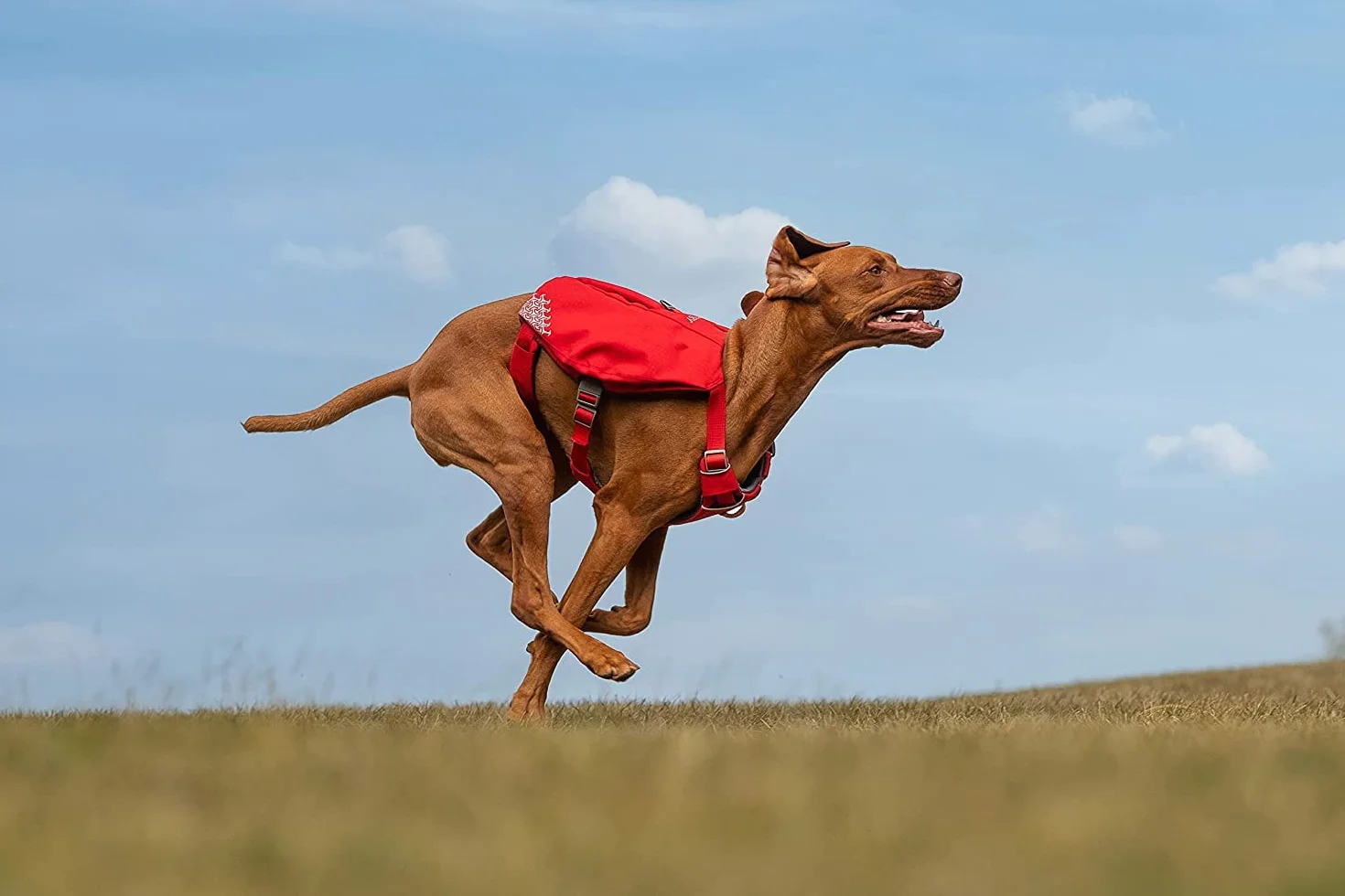 iEnergy MIC Imbracatura per cani con due borse e ideale per viaggi brevi, Imbracatura pettorale traspirante, riflettente e imbottita Imbracatura anti-trazione No Pull (XL)