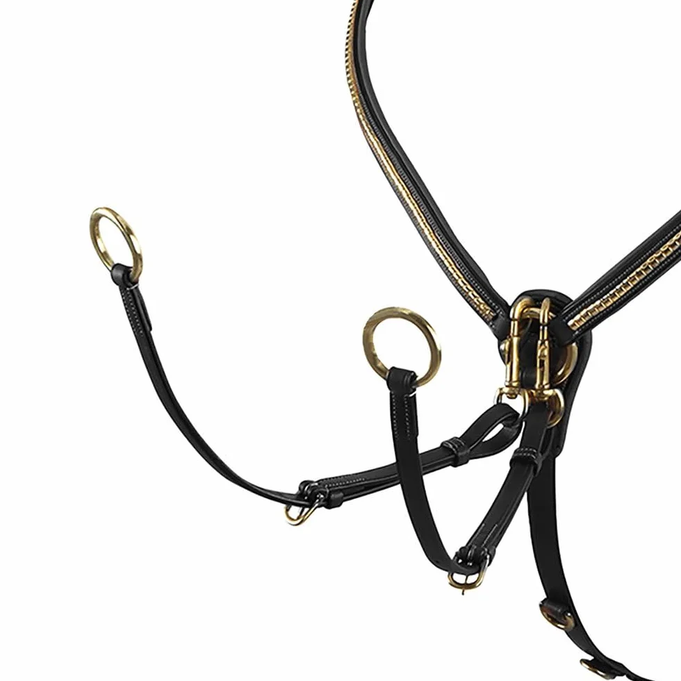 PETTORALE CLINCHER OTTONE (FULL, NERO)