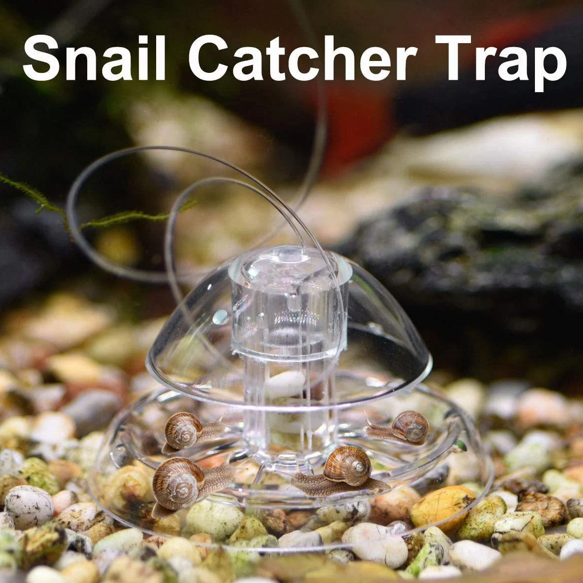 2 Pezzi Trappola per Lumache per Acquario Acquario Plastica Trasparente Trappola per Lumache Acquario Piante Planarian Sanguisuga Catcher 6 Cm