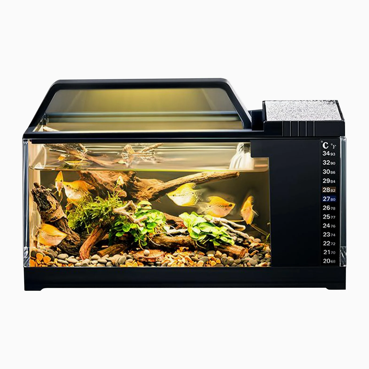 Kit Acquario Completo - Vasca Per Pesci Con Filtro Integrato E Luci LED | Intelligente Con Pompa Silenziosa E Monitoraggio Temperatura Ideale Per Betta, Guppy, Gamberetti E