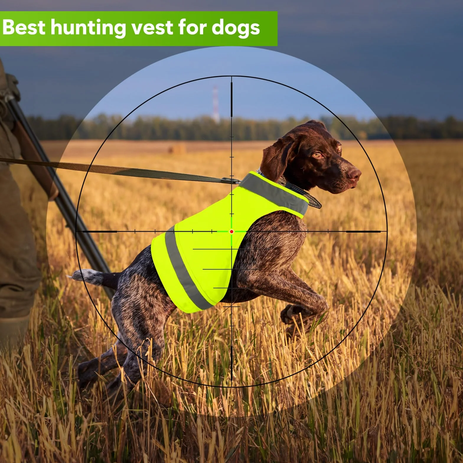 2 gilet di sicurezza per cani, gilet fluorescente da caccia per cani, mantiene i cani al sicuro da auto e incidenti di caccia, cappotto riflettente per cani per passeggiate notturne
