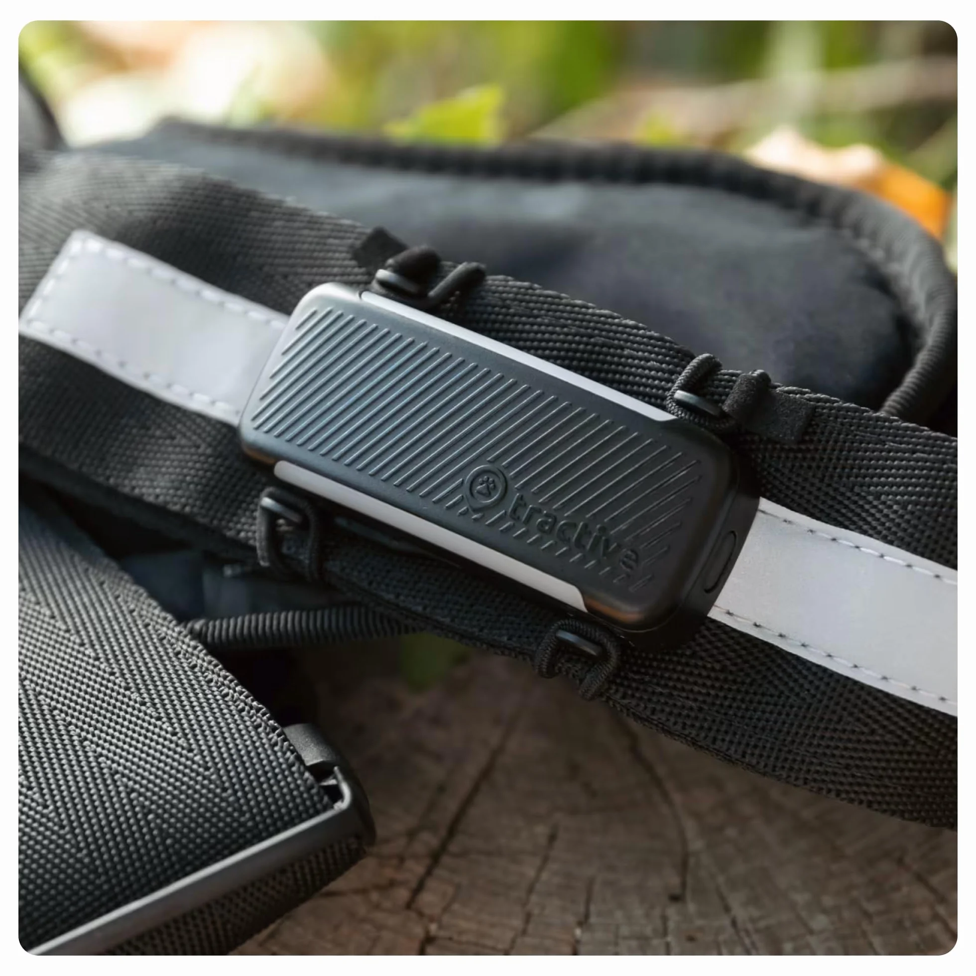 Tractive - 2 clip in tessuto per il GPS per cani Tractive DOG 6 (nero) - formato grande (L)