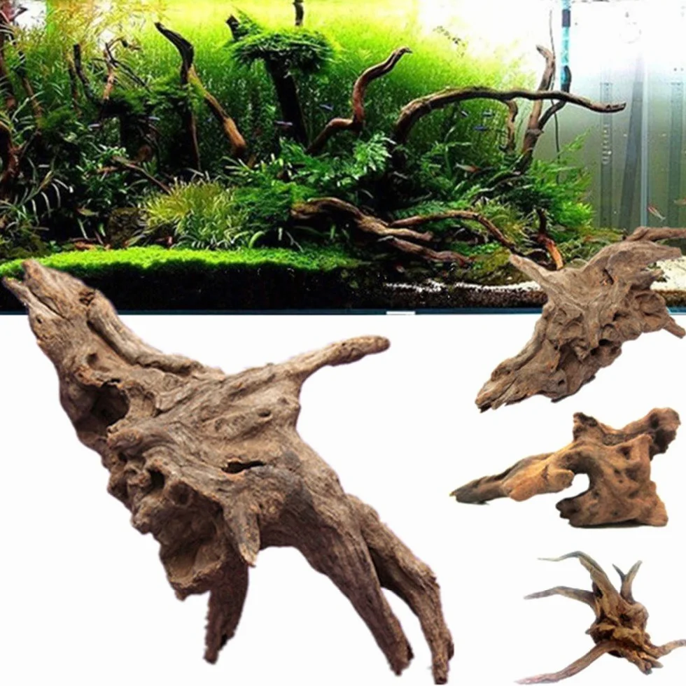 Legno Naturale Per La Decorazione Dell'Acquario, 5-20cm Paesaggio Naturale Driftwood Decorazioni Per Acquario Decorazione Della Radice Dell'Albero Di Legno