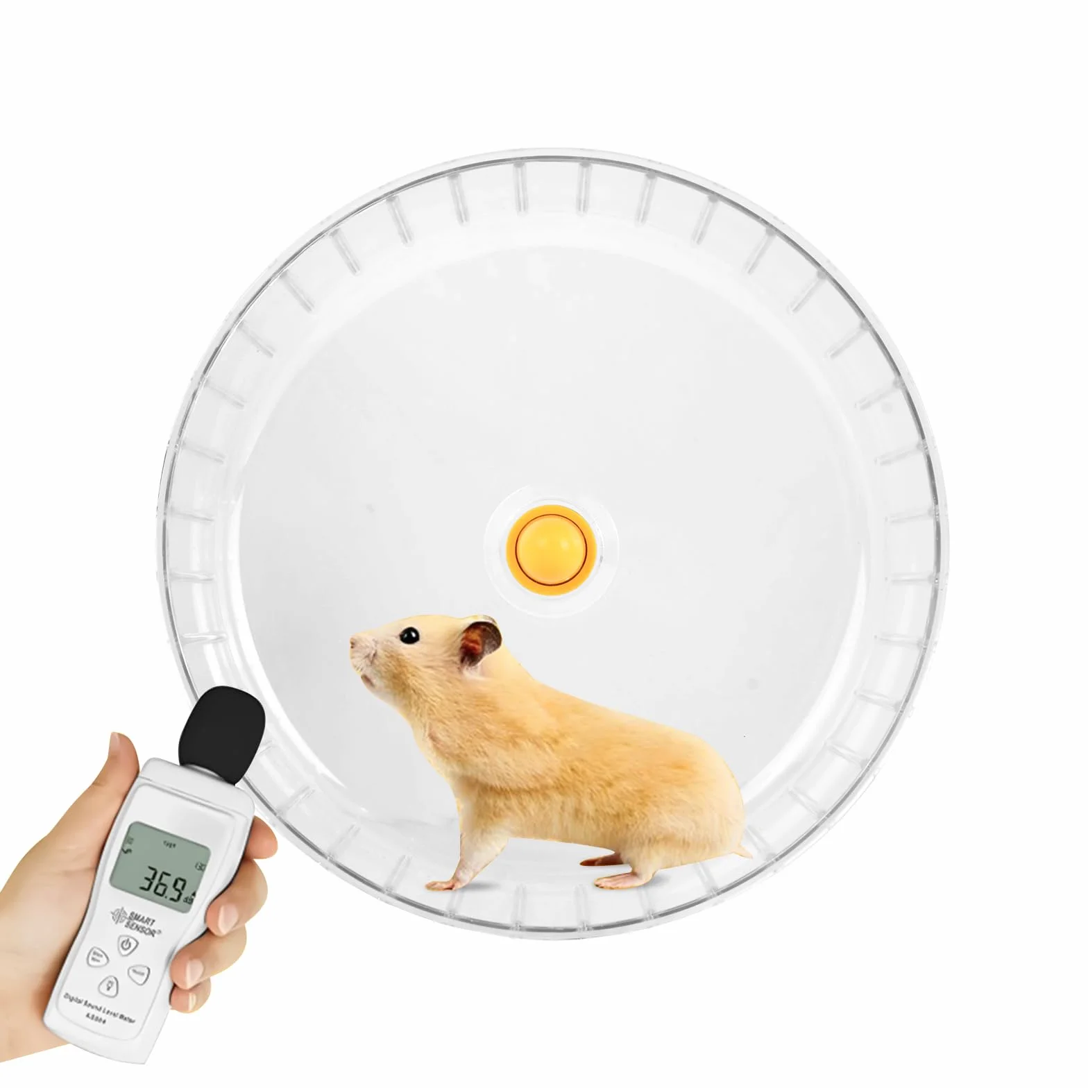 Ruota Criceto Silenziosa, 17 cm Dual-Bearing Criceto Esercizio Ruotas Tranquillo Spinning, Ruotas da Corsa per Criceti, Plastica Ruota da Corsa Trasparente per Gerbilli, Roditori, Topi，Orso d'oro