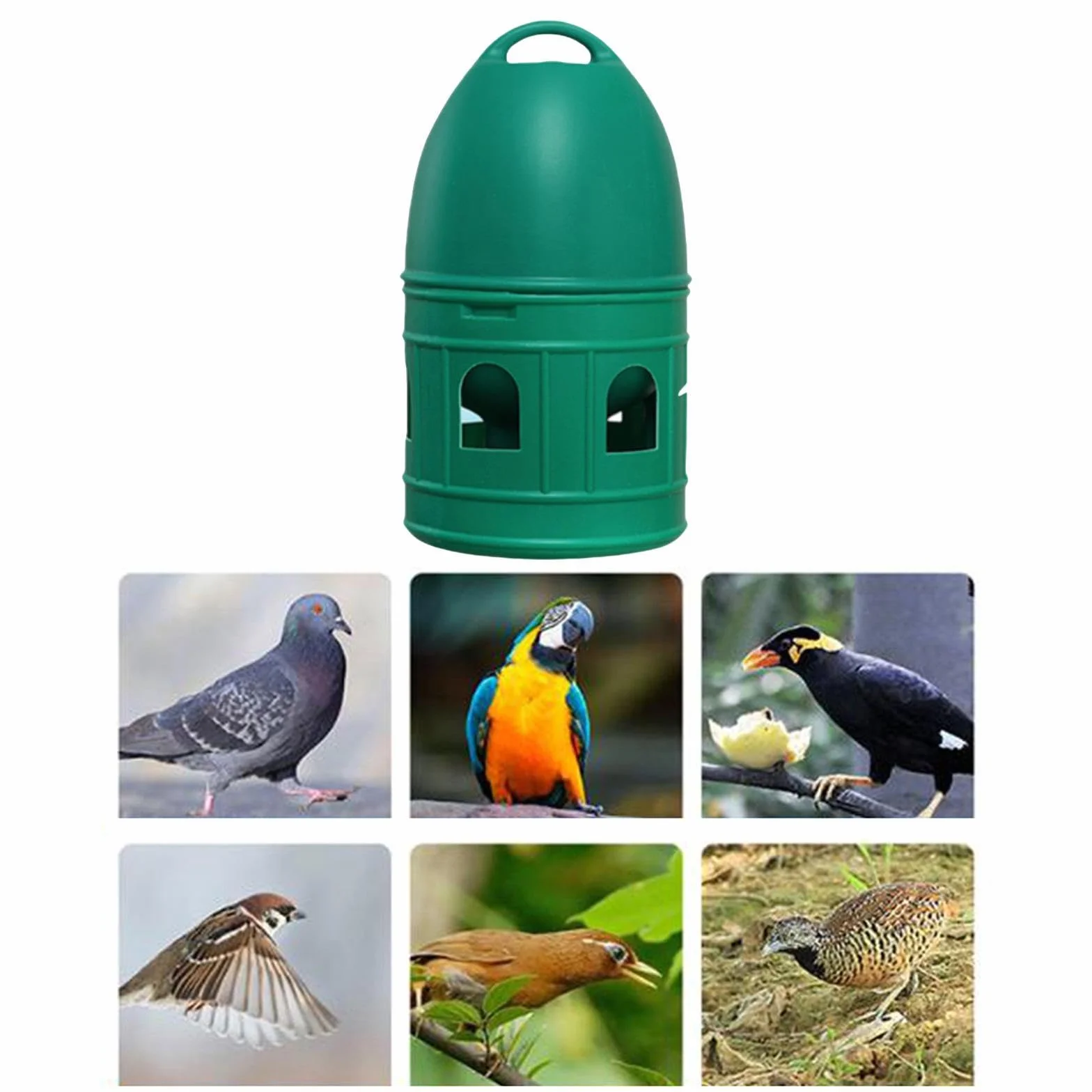 predolo Abbeveratoio per Uccelli/Anatra Pollo Quaglia Distributore d'Acqua Alimentatore Automatico con Manico sospeso/Abbeveratoio di Grande capacità, Verde 3L