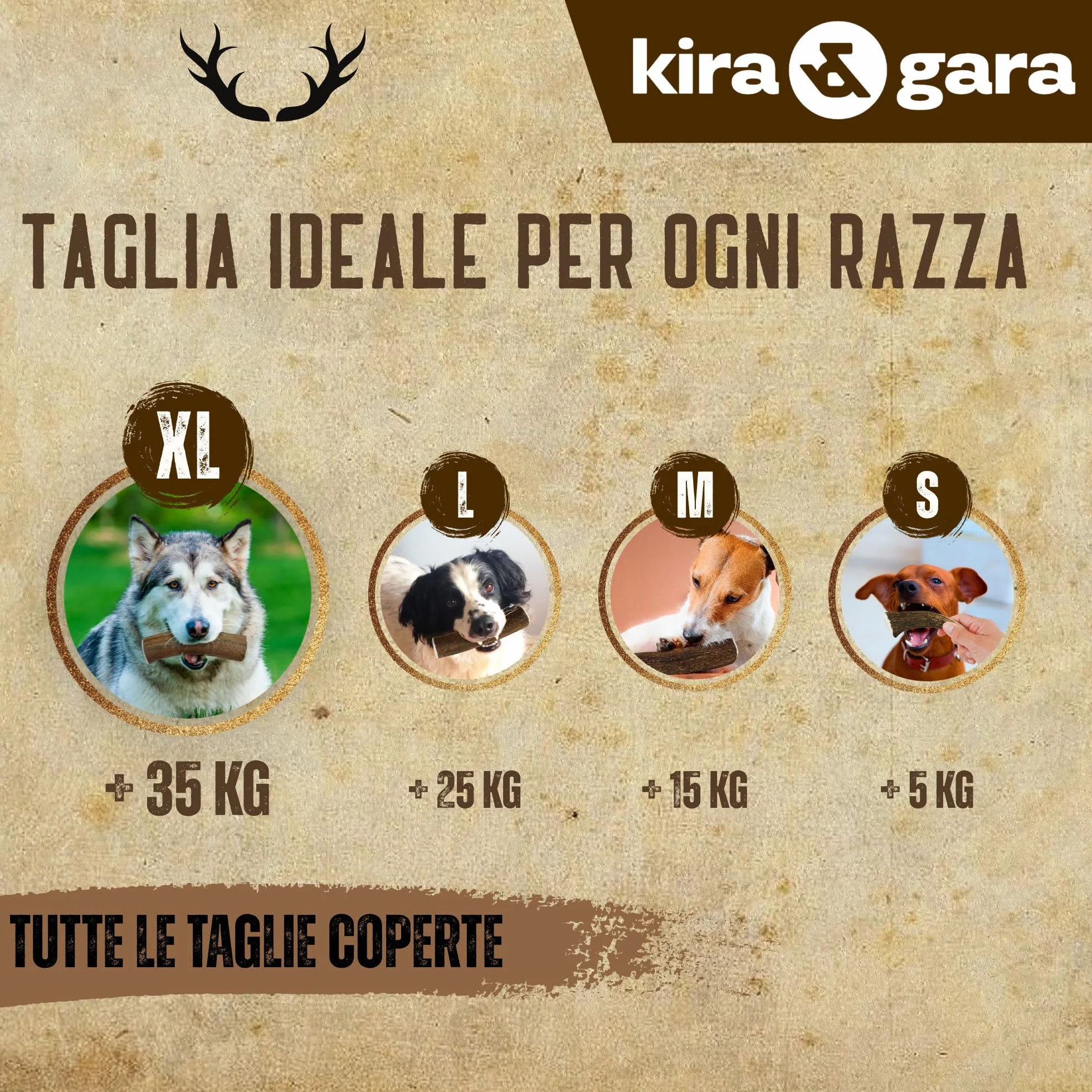 Corno di Cervo Naturale per Cani | Masticatore Dentale Duraturo | Origine Naturale, Senza Additivi | Kira&Gara® (XL - 200-240g, Pack de 1)