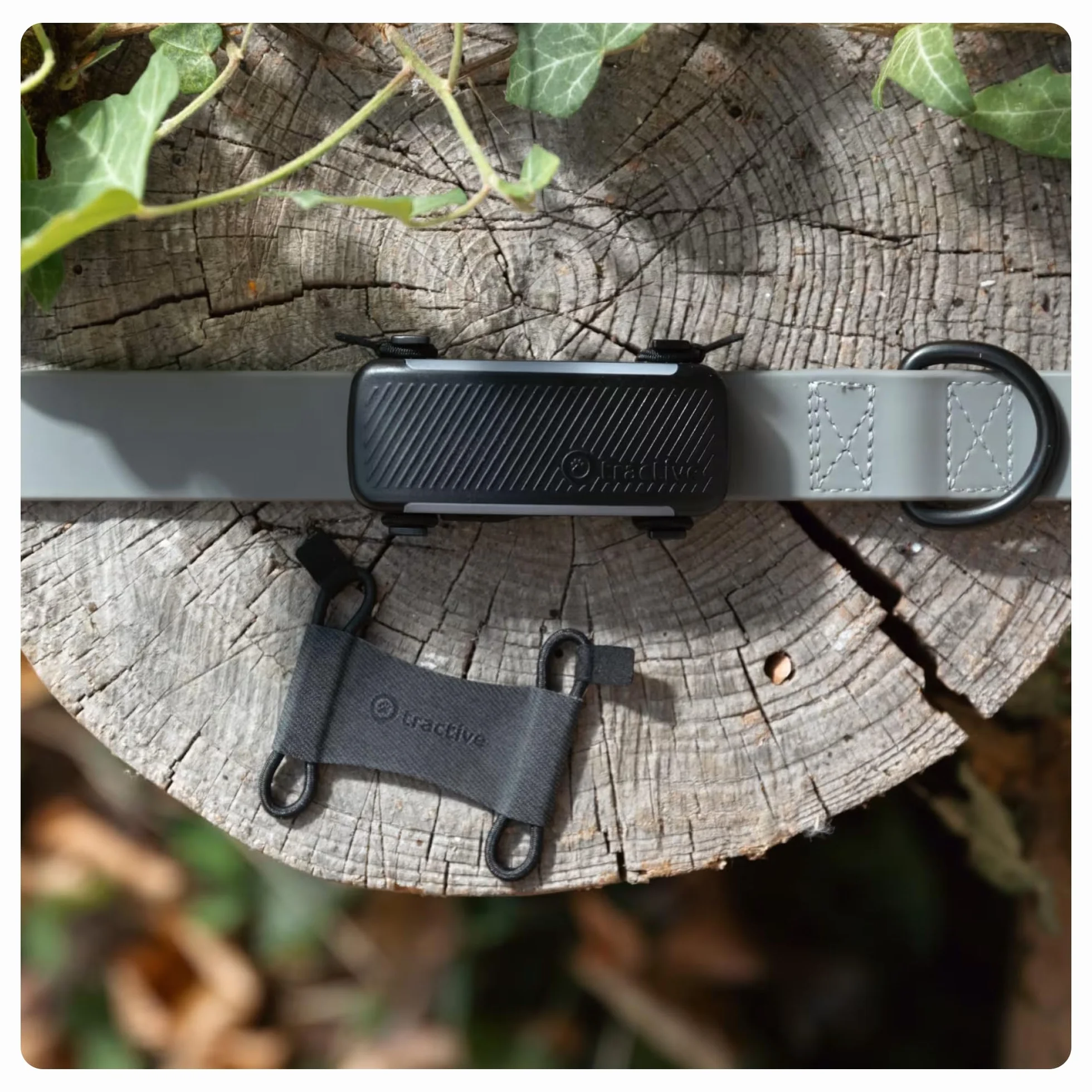Tractive - 2 clip in tessuto per il GPS per cani Tractive DOG 6 (nero) - formato grande (L)