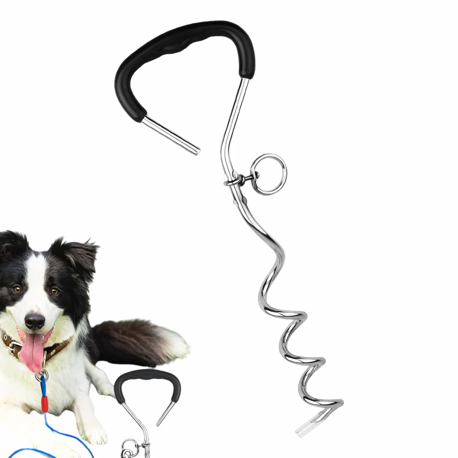Picchetti per cani per terra, picchetti per legare cani, picchetti per legare i cani, resistenti e a prova di torsione, da attaccare al cavo e per campeggio, sfondo, cortile, spiaggia