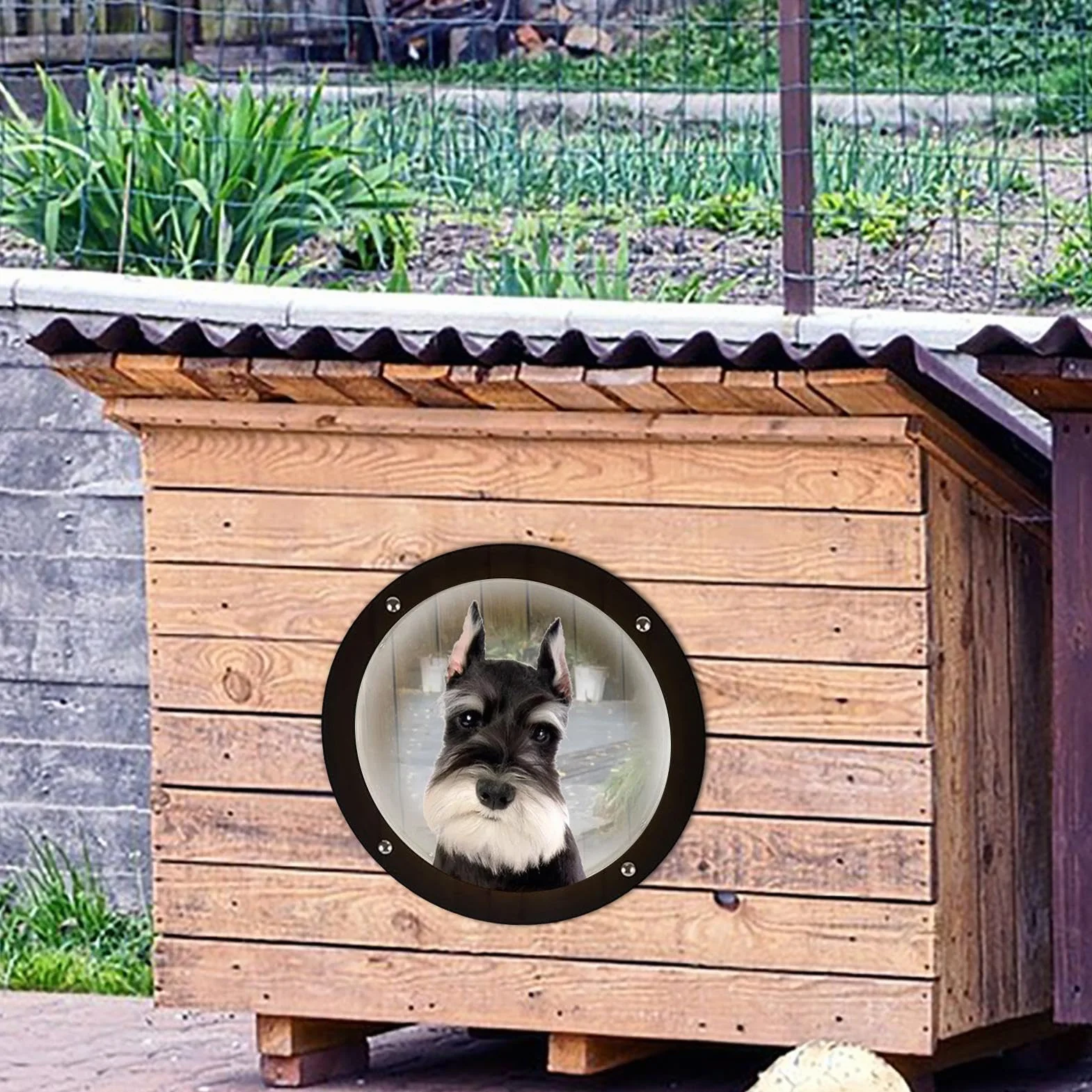 Finestra per recinto per cani, in acrilico, a cupola, trasparente, facile da installare, rotonda, per bambini e animali domestici, cuccia per cani, 33 x 33 x 16 cm