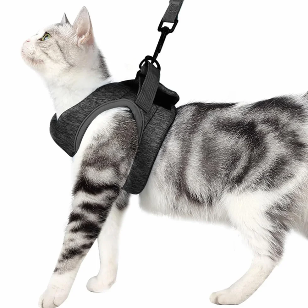 Pettorina Gatto Traspirante Chiusura Velcro Regolabile Antifuga